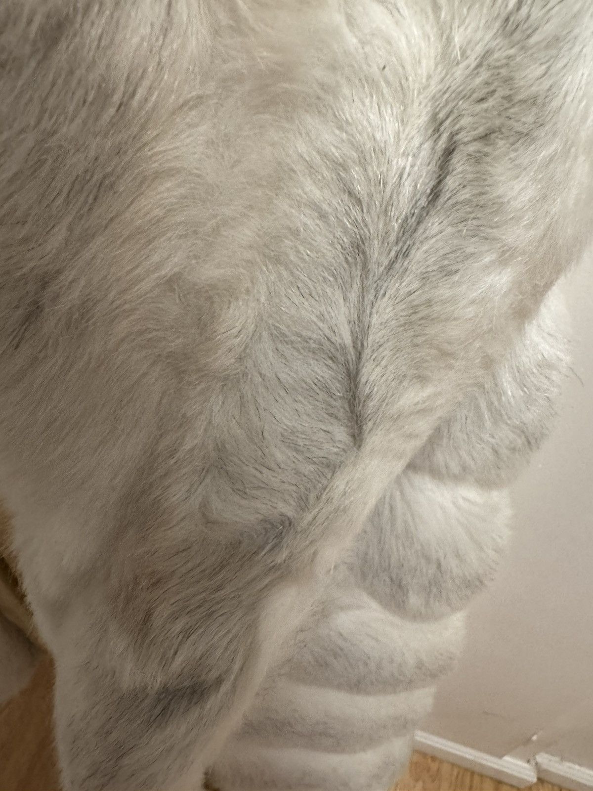 Jordache White faux fur Jordache vintage coat Size XL / US 12-14 / IT 48-50 - 3 Thumbnail