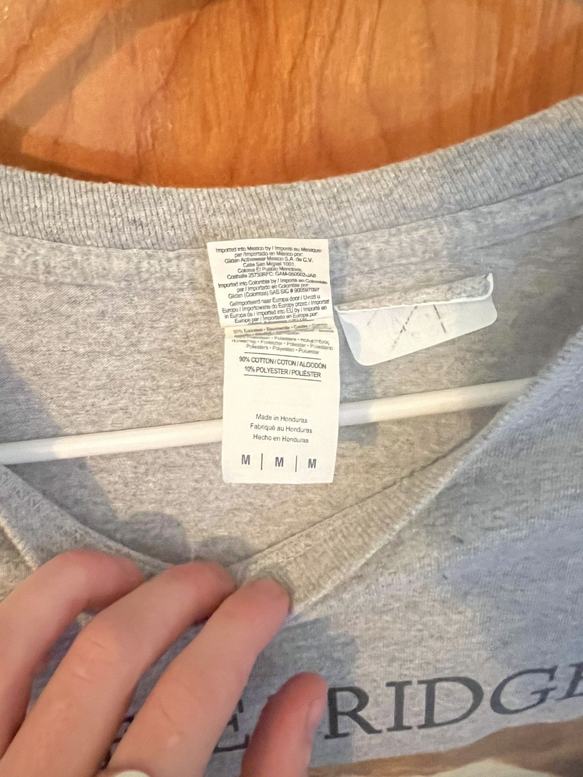 Gildan Phoebe Bridgers/Danny DeVito longsleeve, grey Size US M / EU 48-50 / 2 - 2 Thumbnail