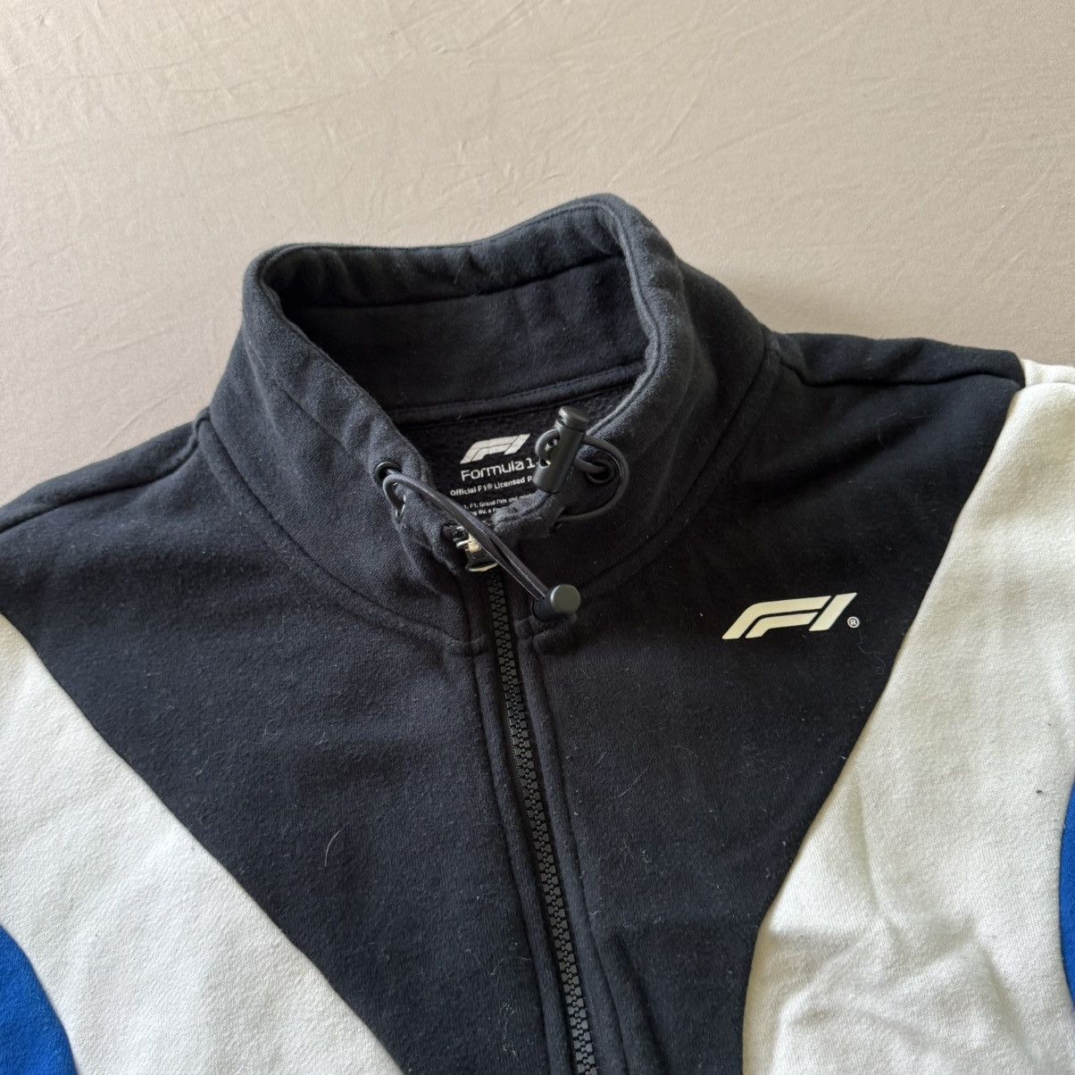 Pacsun Formula 1 x PacSun Colorblock Cropped Zip Up Sweatshirt Size M / US 6-8 / IT 42-44 - 7 Thumbnail