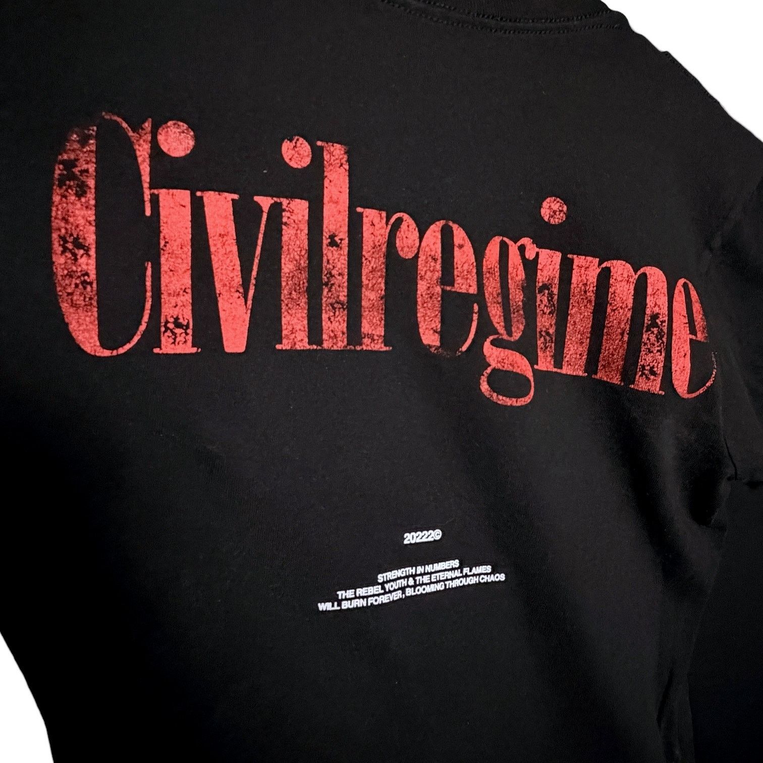 Civil Regime Civil Regime Black Pegasus Lightning Grunge Goth T-Shirt S Size US S / EU 44-46 / 1 - 5 Thumbnail