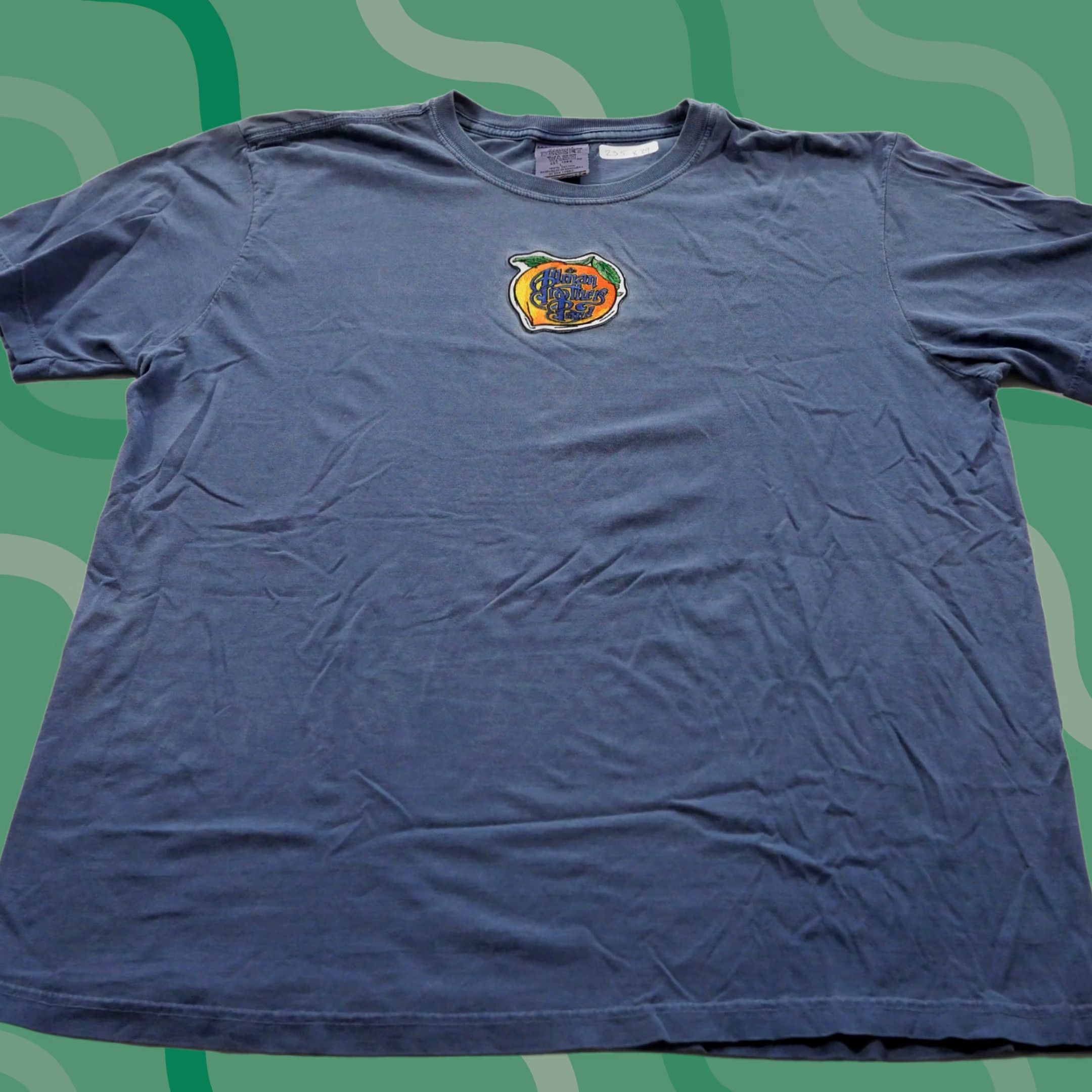 VINTAGE Alman Brothers Shirt Mens Large Blue Embroidered Band Patch Peach Outdoors Music