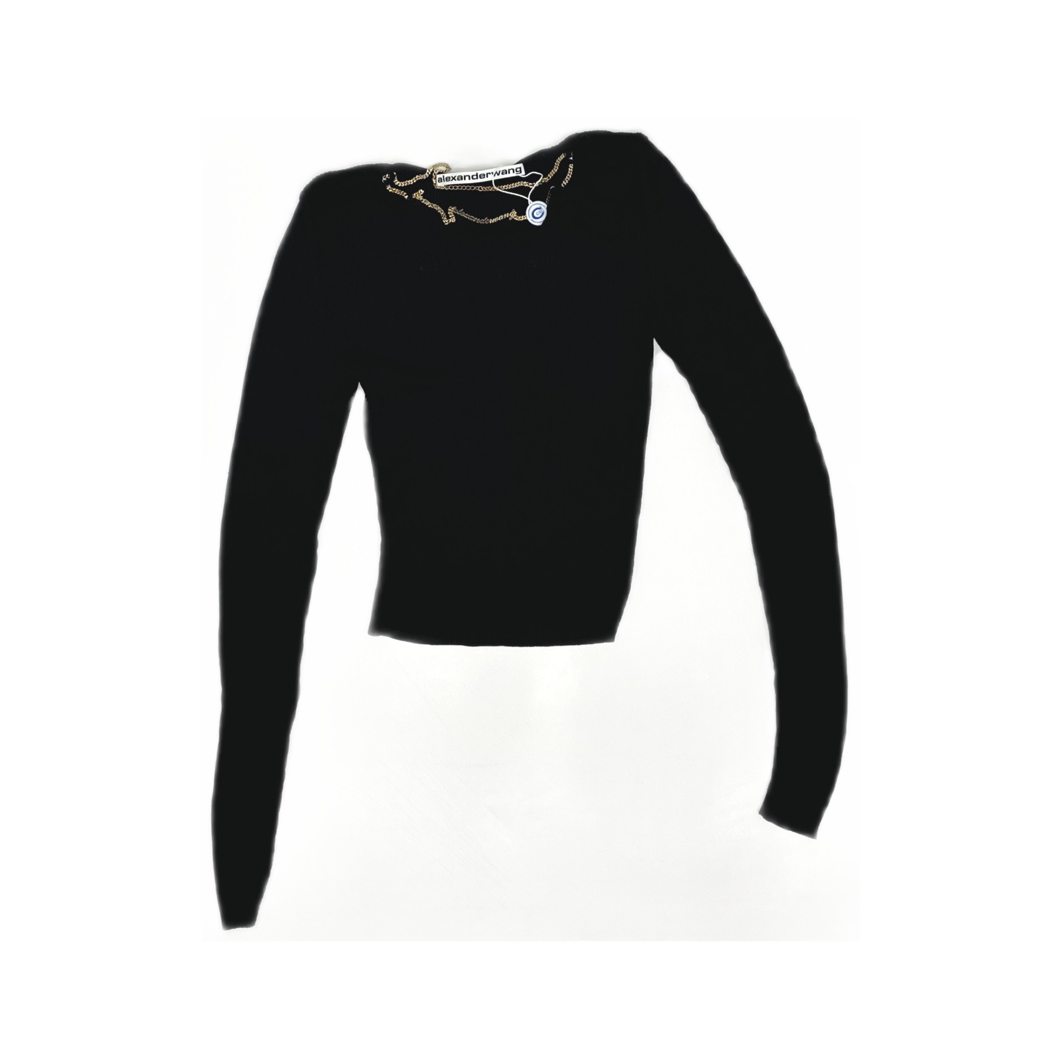 Alexander Wang Alexander Wang Chain Logo Long Sleeve Top Size XS Size XS / US 0-2 / IT 36-38 - 1 Thumbnail