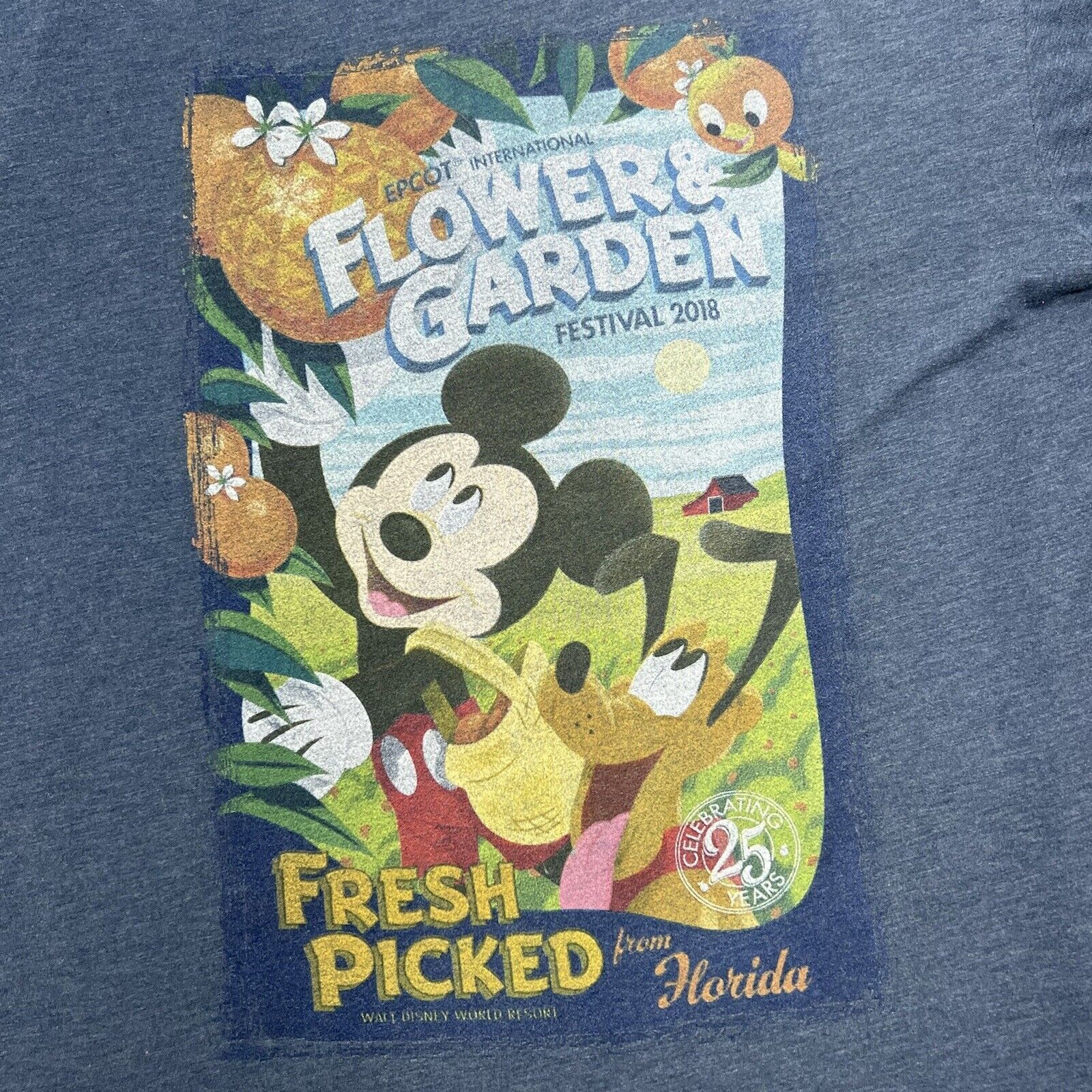 Disney Disney Parks Epcot Flower & Garden Festival 25 Years T Shirt Size US L / EU 52-54 / 3 - 2 Thumbnail