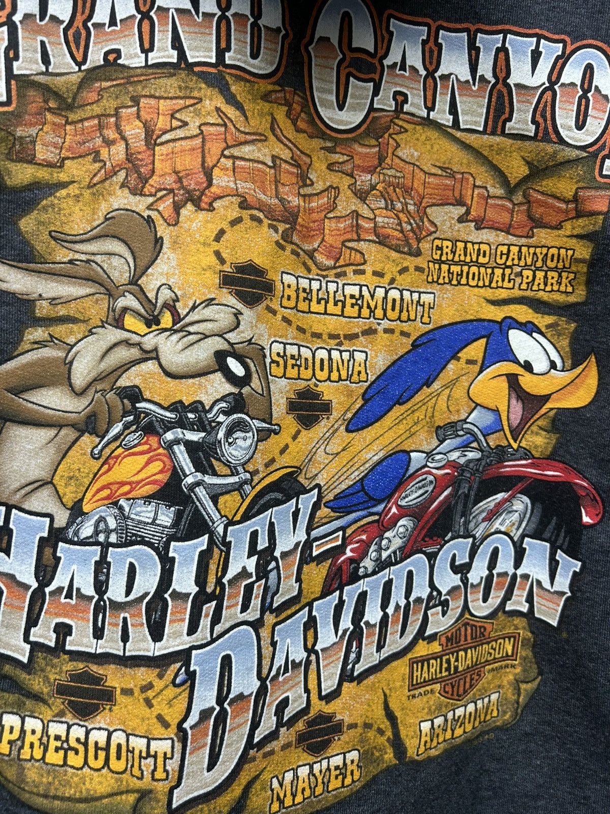 Harley Davidson Harley Davidson Road Runner Grand Canyon Zip Up Hoodie Size US XL / EU 56 / 4 - 6 Thumbnail