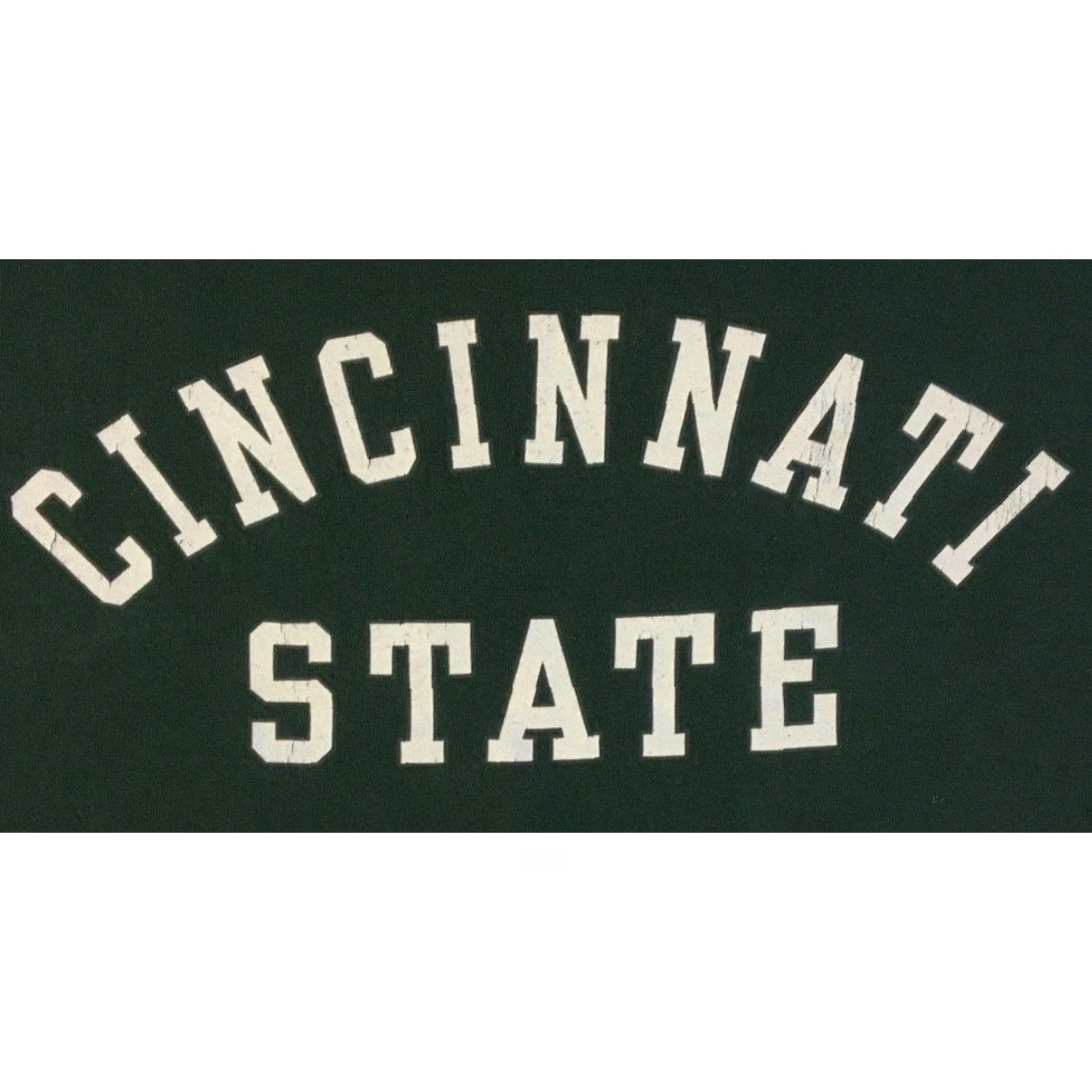 Vintage VINTAGE Cincinnati State College Faded Spellout Shirt L Green 90s 80s College Grunge Skate Track Football PE School Mens T-Shirt Short Sleeve Size L Size US L / EU 52-54 / 3 - 2 Thumbnail