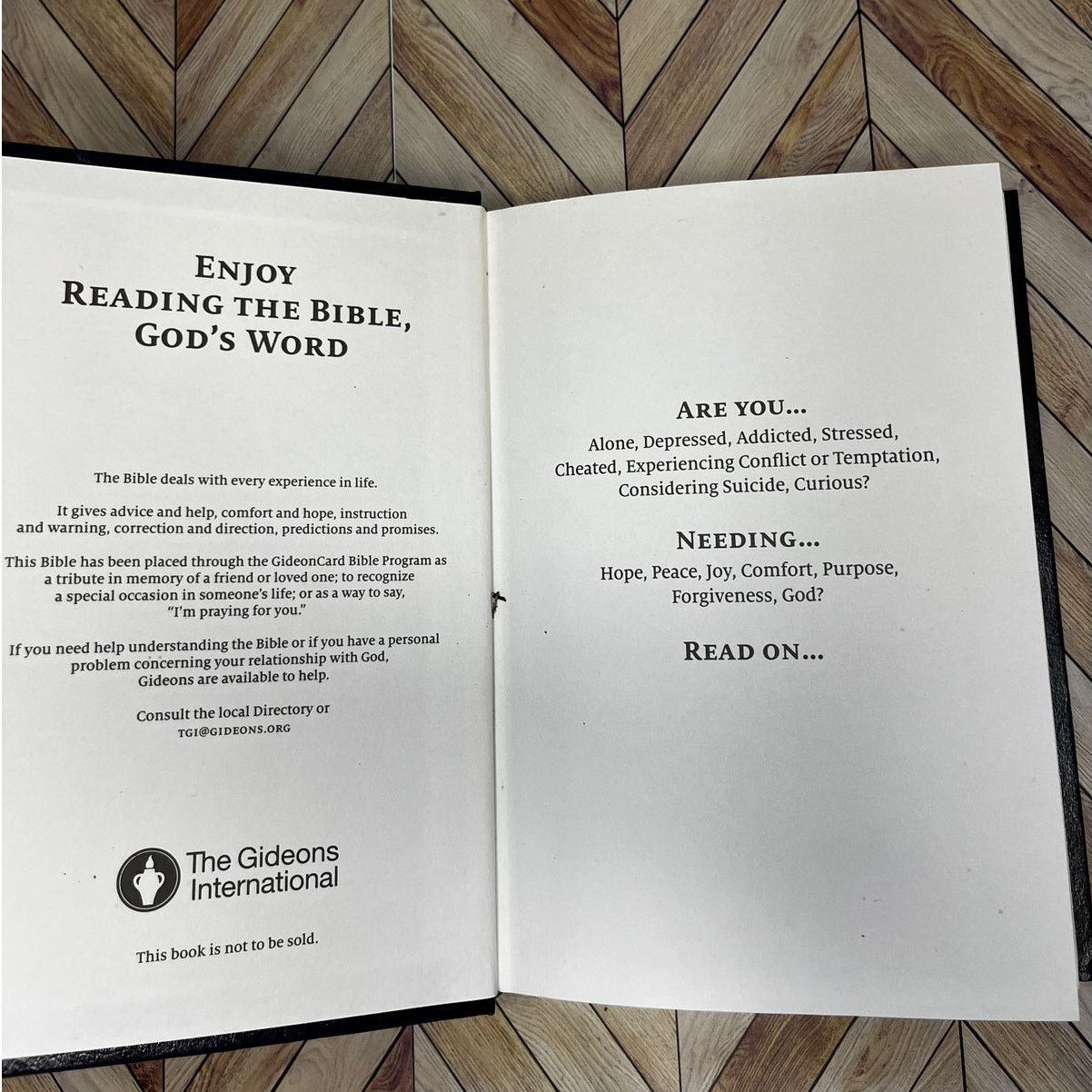 Other Holy Bible - Placed by The Gideon's - Printed Hardcover Size ONE SIZE - 2 Thumbnail