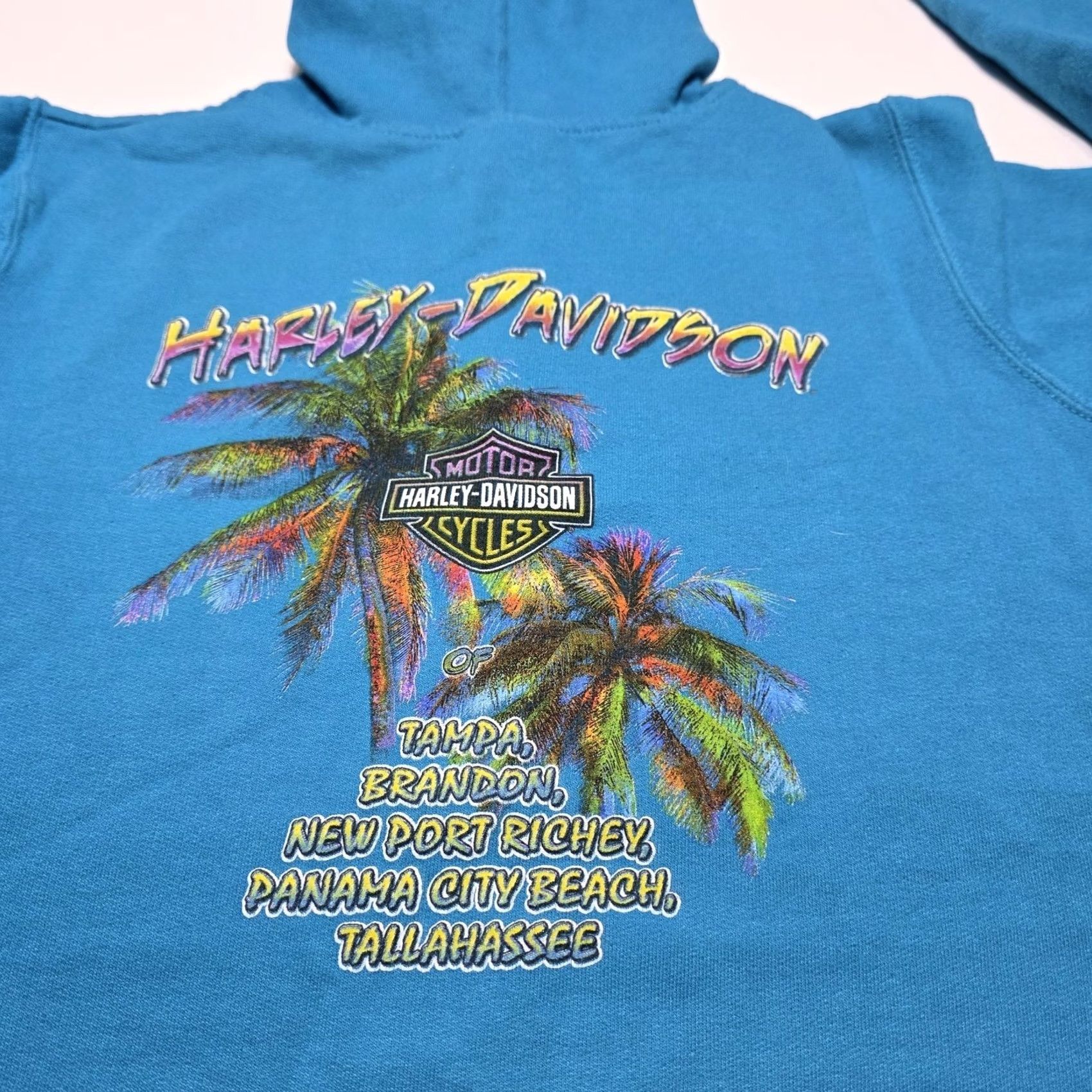 Harley Davidson Harley-Davidson Florida Women Turquoise Aqua Sweatshirt Pullover Hoodie Medium Blue Pullover Sweatshirt Womens Regular M Aqua Turquoise Vintage? No Size M / US 6-8 / IT 42-44 - 3 Thumbnail