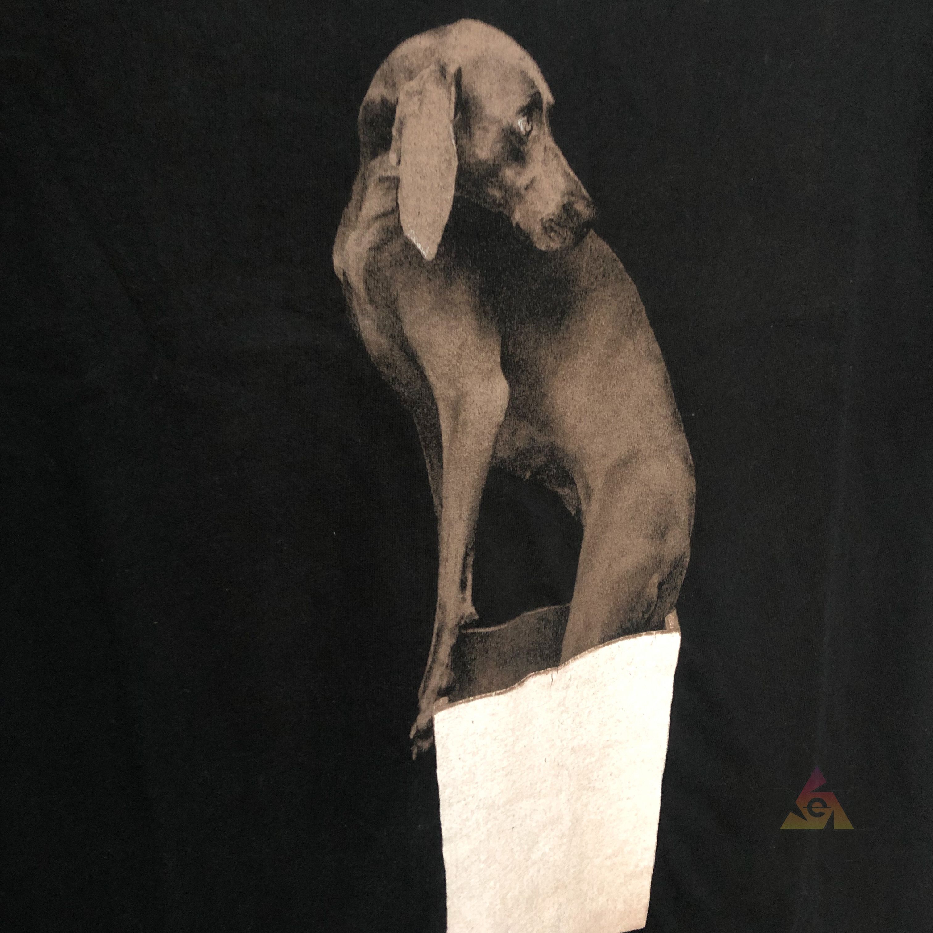 Vintage William Wegman Fotofolio Editions 1987 Vintage Collectible Size US M / EU 48-50 / 2 - 6 Thumbnail