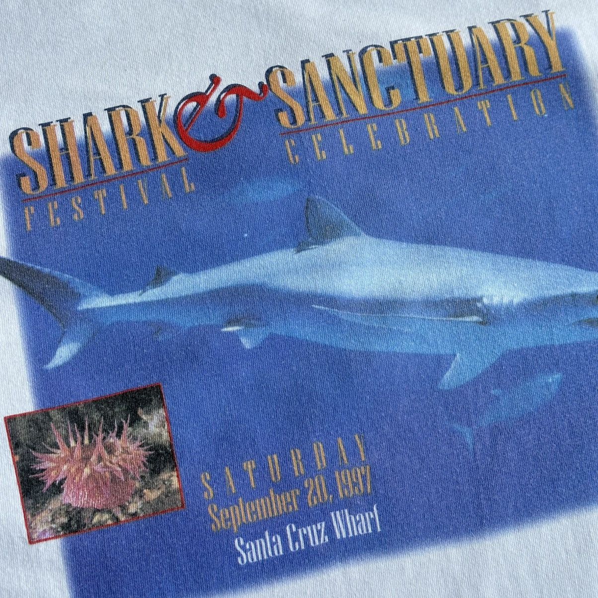 Hanes Vintage 1997 Shark Sanctuary Festival Promo Tee Size US L / EU 52-54 / 3 - 3 Thumbnail