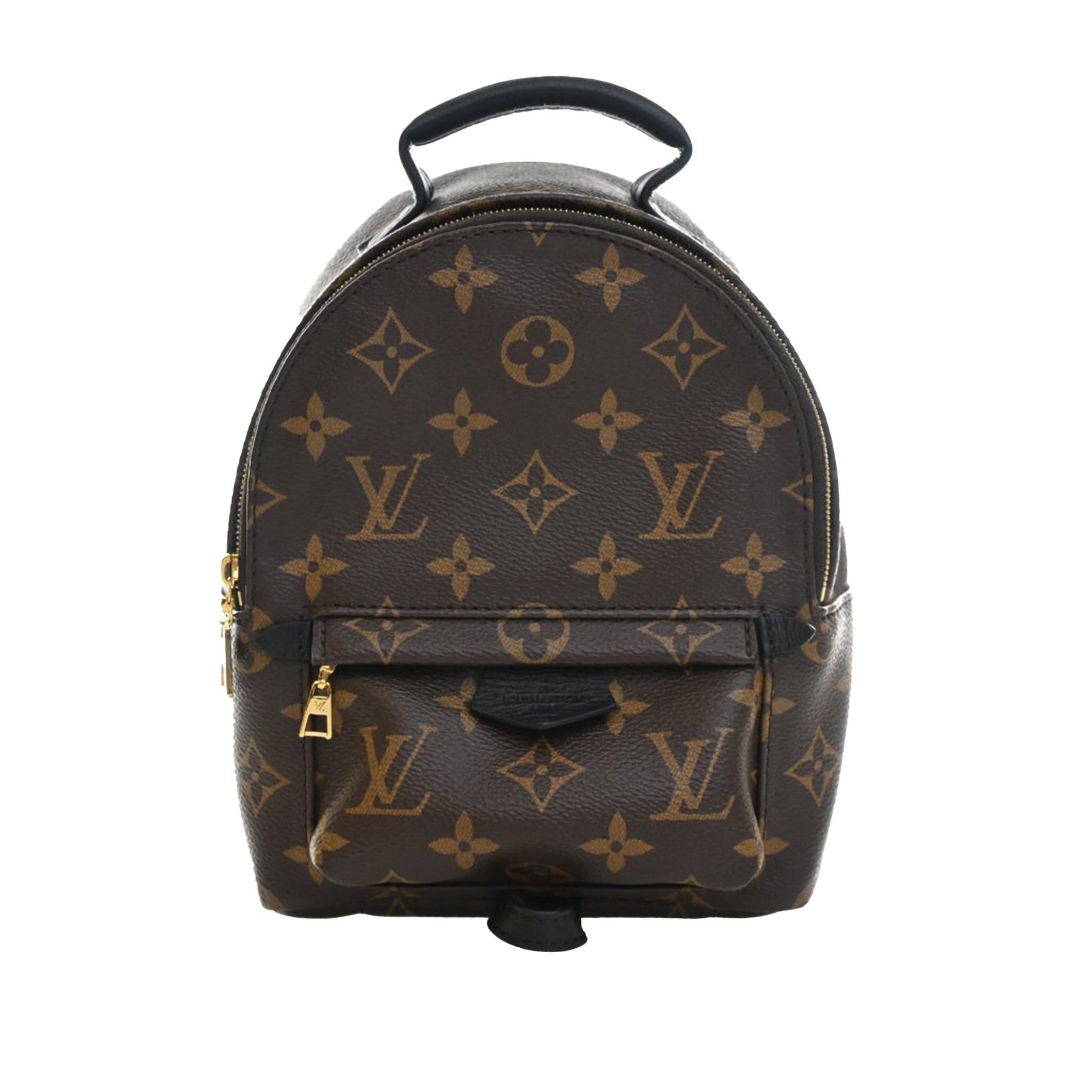 Louis Vuitton Monogram Mini Palm Springs Size ONE SIZE - 1 Thumbnail