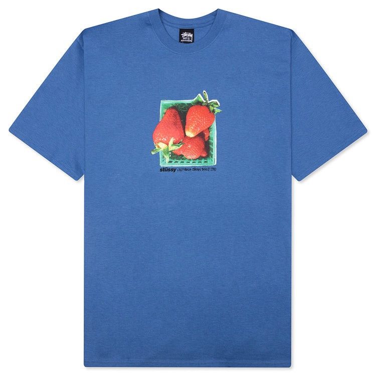 STÜSSY STUSSY BERRIES TEE IN BLUE COTTON T-SHIRT SIZE XXL