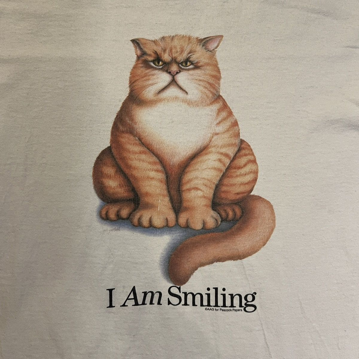 Other Vintage 90s I Am Smiling Cat Graphic T Shirt Size US XL / EU 56 / 4 - 5 Thumbnail
