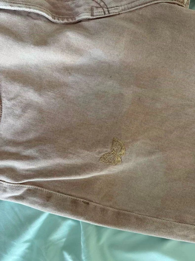Our Legacy Our Legacy Pink embroidered butterfly pants Size US 32 / EU 48 - 5 Thumbnail