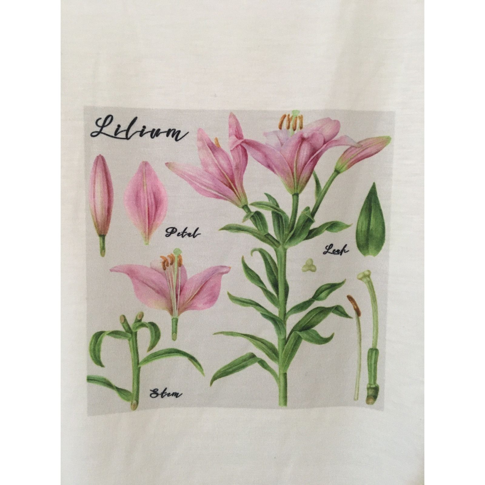 Other Indigo Poppy Medium White Blouse Pink Lillies Eyelet Sleeves Size M / US 6-8 / IT 42-44 - 2 Thumbnail