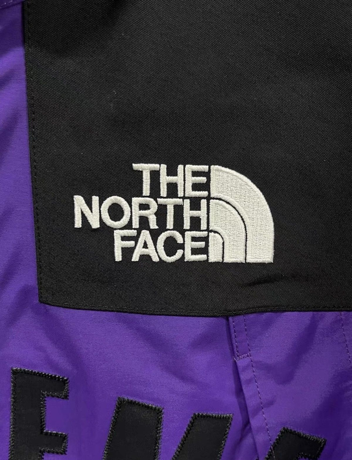 Supreme tnf the north face arc logo mountain parka jacket