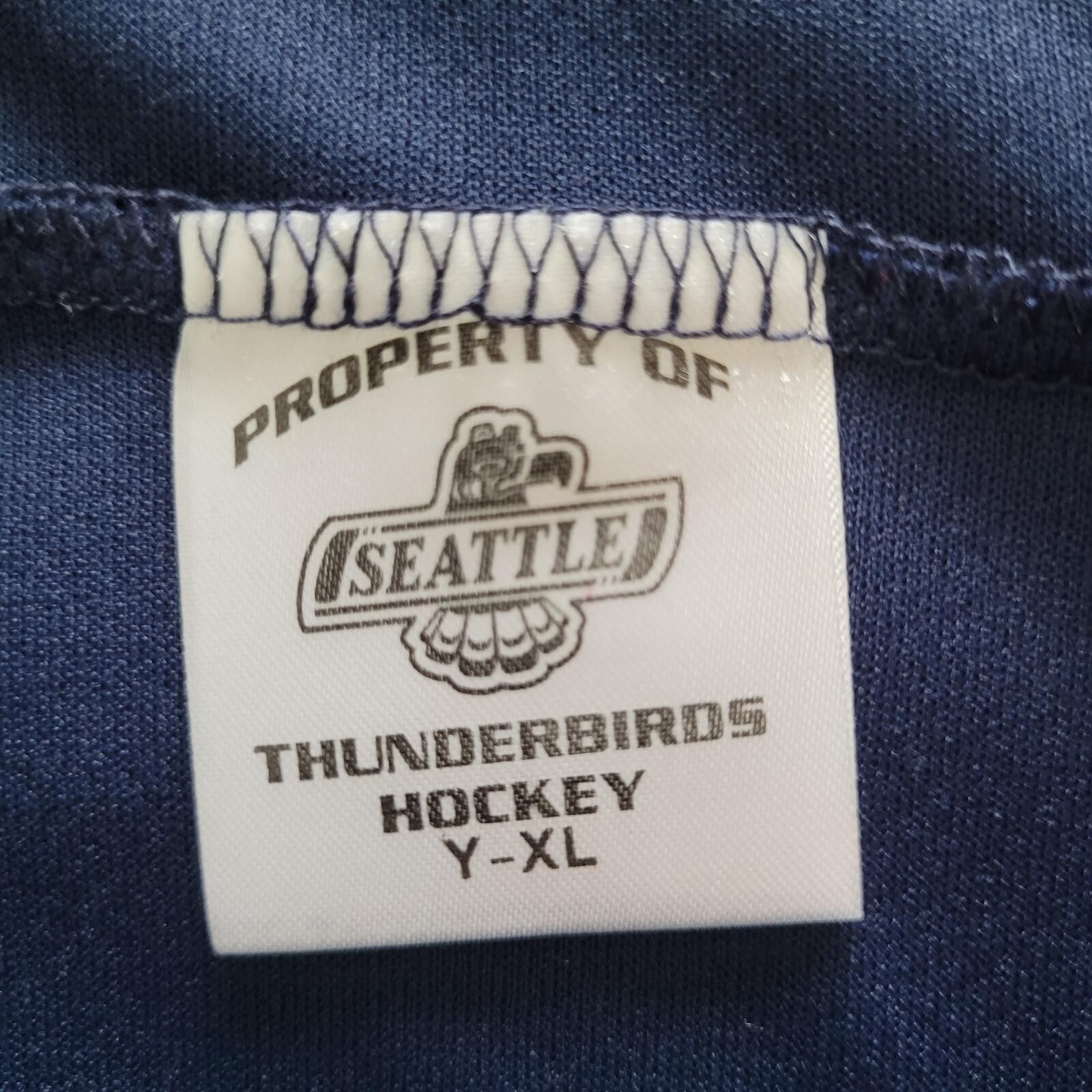 Other Seattle Thunderbirds Noebels #15 Hockey Jersey Men’s L Y-XL Size US L / EU 52-54 / 3 - 4 Thumbnail
