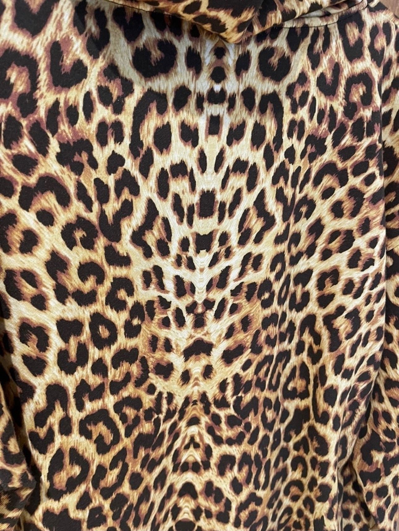 Celine CELINE leopard hoodie XXL Size US XXL / EU 58 / 5 - 5 Thumbnail