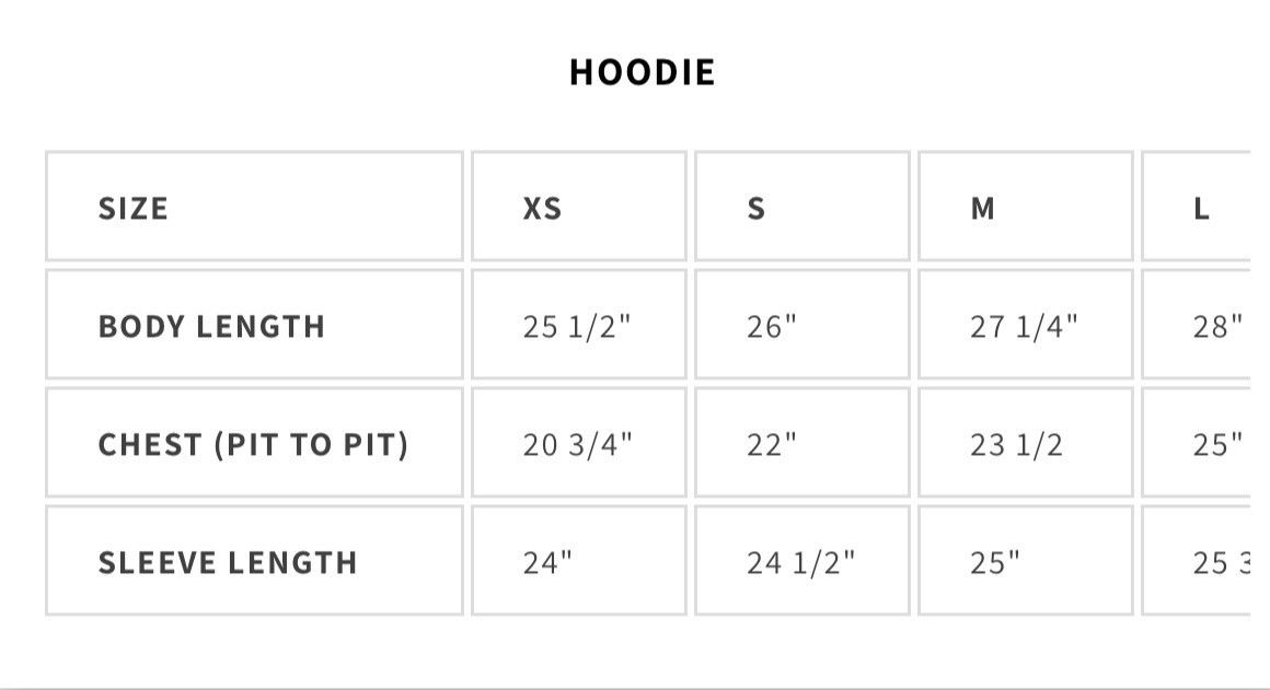 Sp5der SP5DER OG Web V2 Hoodie Size US S / EU 44-46 / 1 - 16 Thumbnail