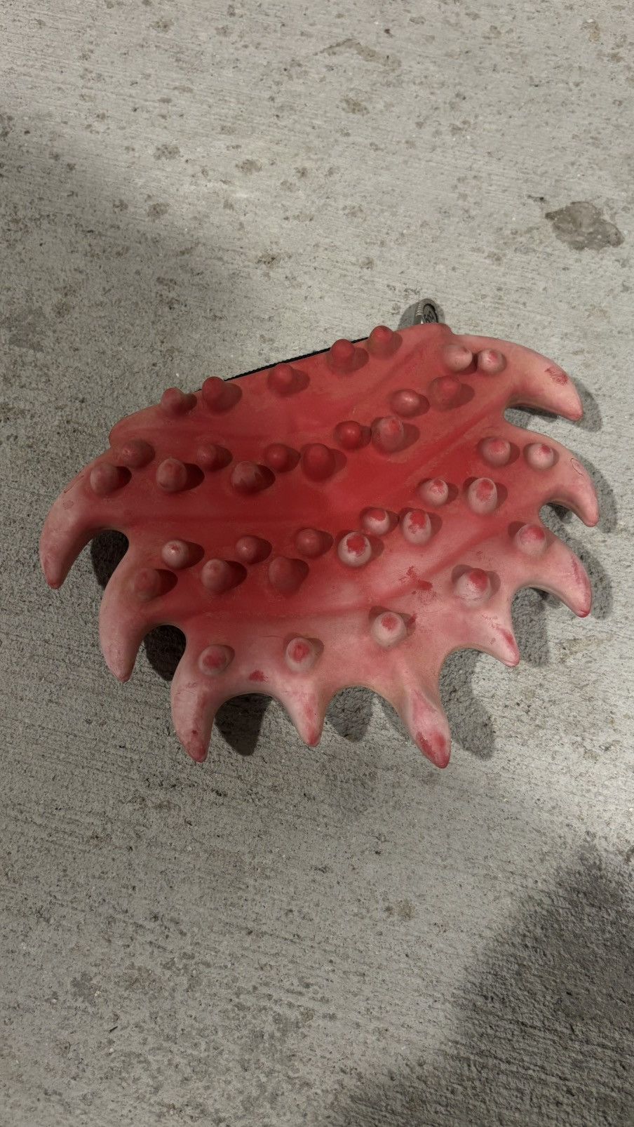 Craig Morrison Craig Morrison Red Bug Pouch | Grailed