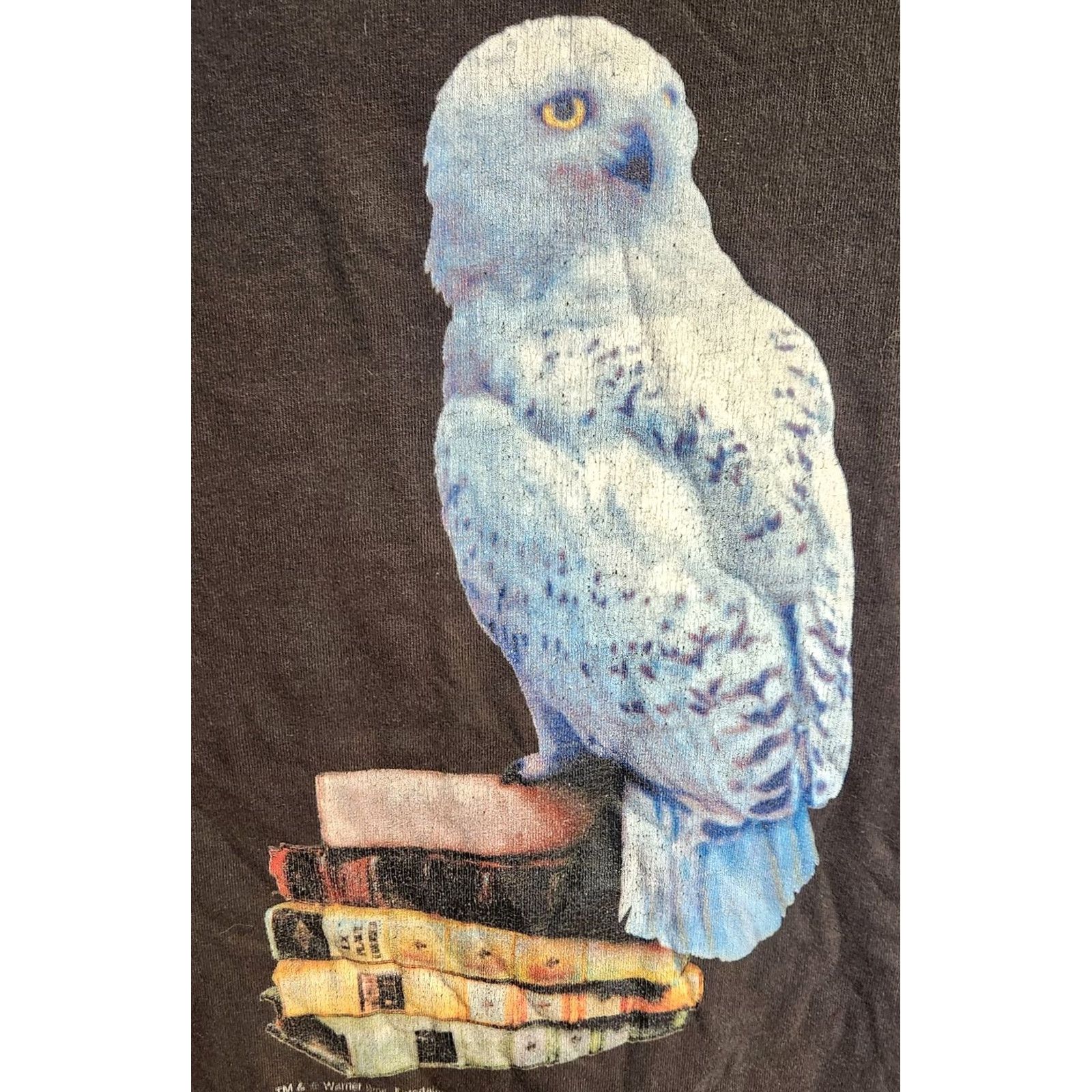 Hanes Hanes Warner Bros Harry Potter Hedwig White Owl Spellbooks T Shirt Sz M Vintage Mens/Unisex Short Sleeve Graphic Tee Black 2000s Size US M / EU 48-50 / 2 - 6 Thumbnail