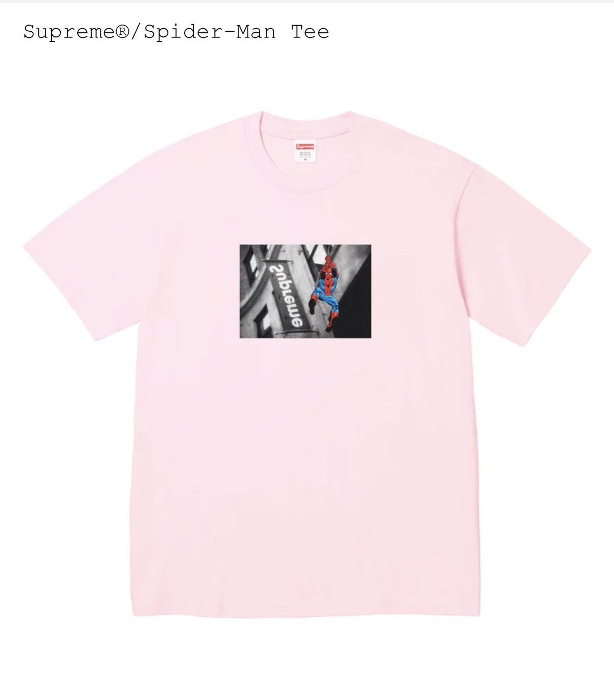 Surpeme x Marvel Spiderman Tee