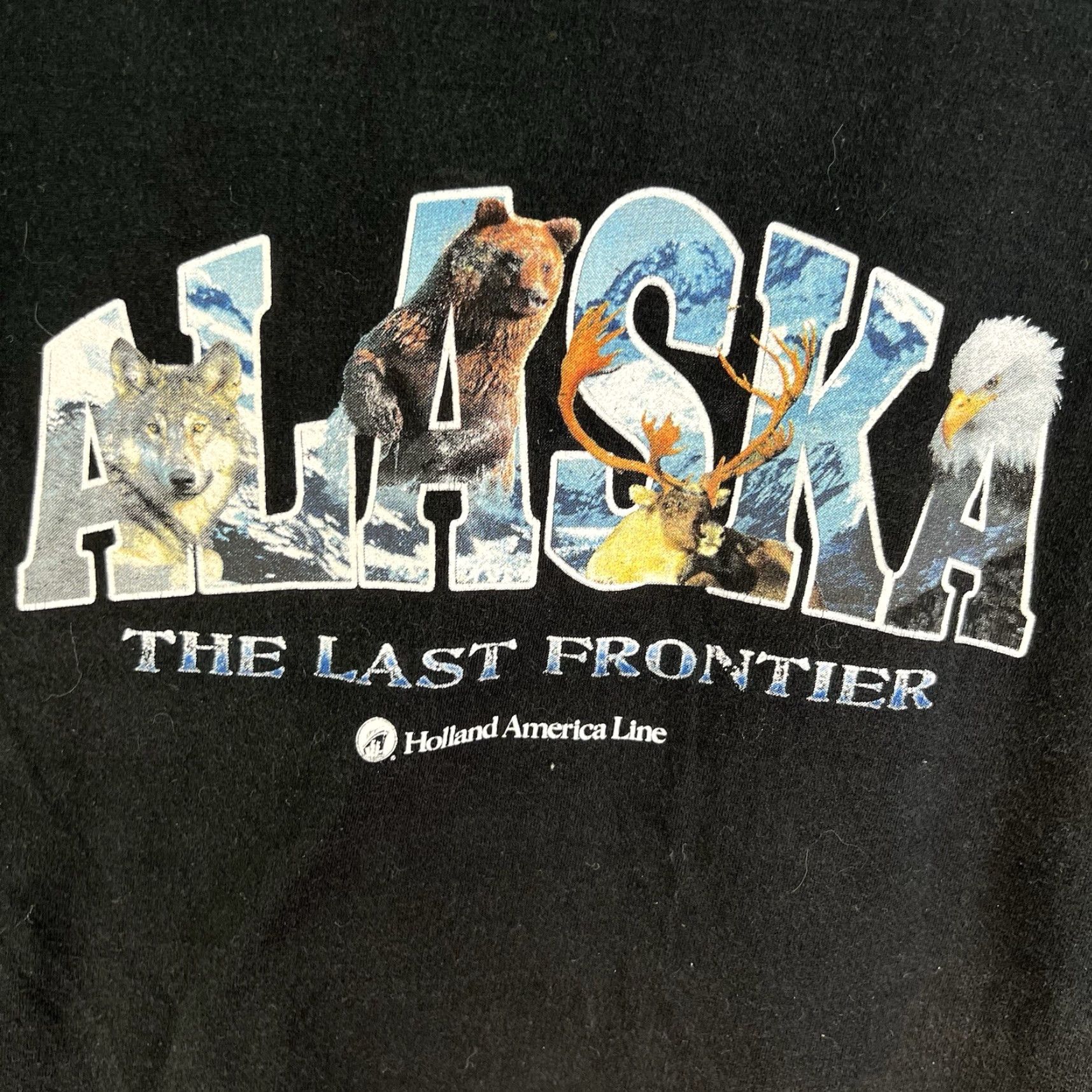 Vintage Alaska Holland American Cruise Lines T-Shirt Adult 2XL Black Graphic Print Nature Art Mens Size US XXL / EU 58 / 5 - 2 Thumbnail