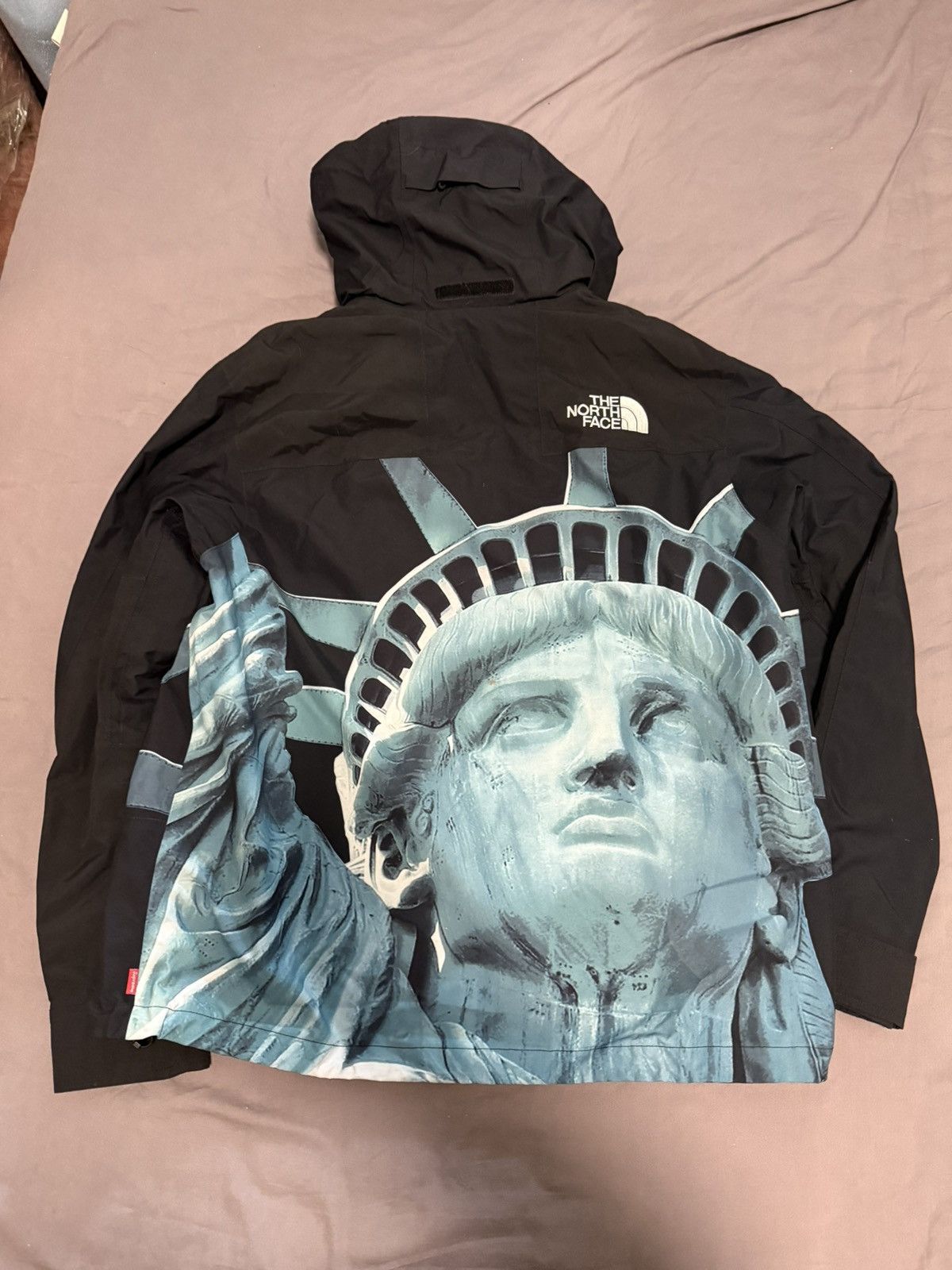 Supreme × The North Face Supreme tnf north face statue of liberty mountain jacket Size US M / EU 48-50 / 2 - 2 Thumbnail