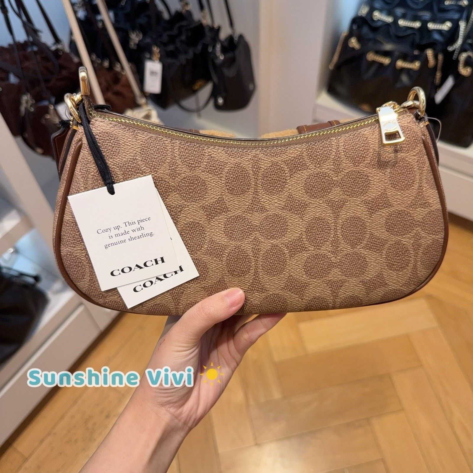 Coach NWT Coach CCZ24 Ashton Bag Signature Canvas Vintage Brown Size ONE SIZE - 5 Thumbnail