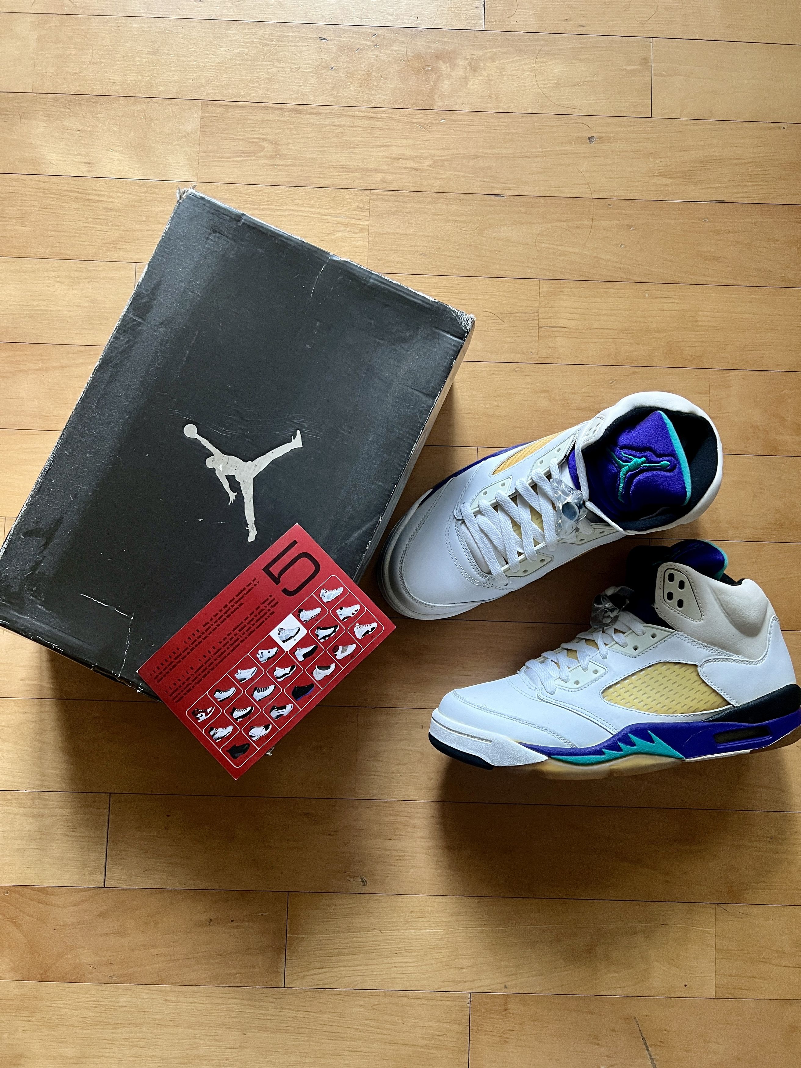 Nike 2006 Air Jordan Retro LS Grape US9 NWT