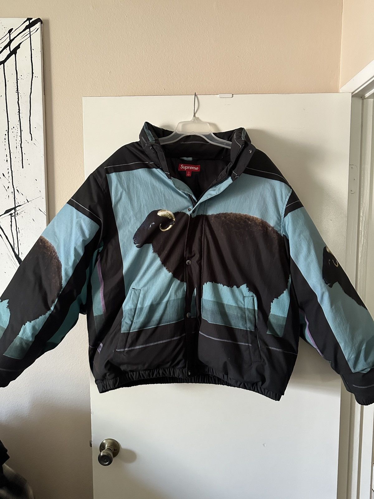 Damien Hirst × Supreme Supreme x Damien Hirst Down Puffer Jacket Size US XL / EU 56 / 4 - 5 Thumbnail