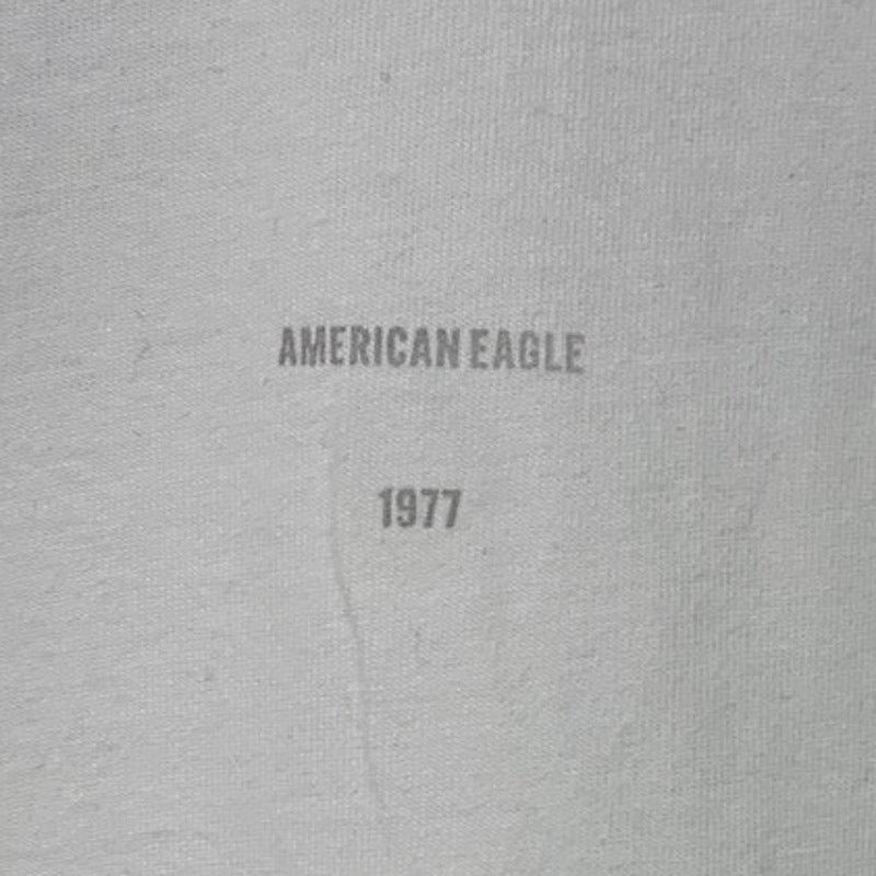 American Eagle Outfitters New American Eagle Mens Medium Short Sleeve Tee Shirt Size US M / EU 48-50 / 2 - 2 Thumbnail
