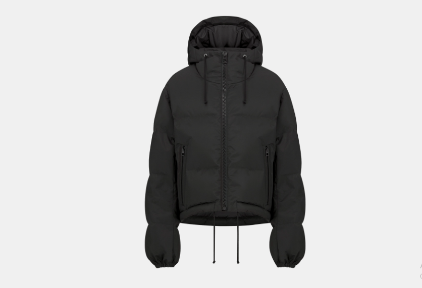 Dior o1w1db10525 327C21 Dior Alps Hooded Puffer Jacket in Black Size L / US 10 / IT 46 - 1 Thumbnail