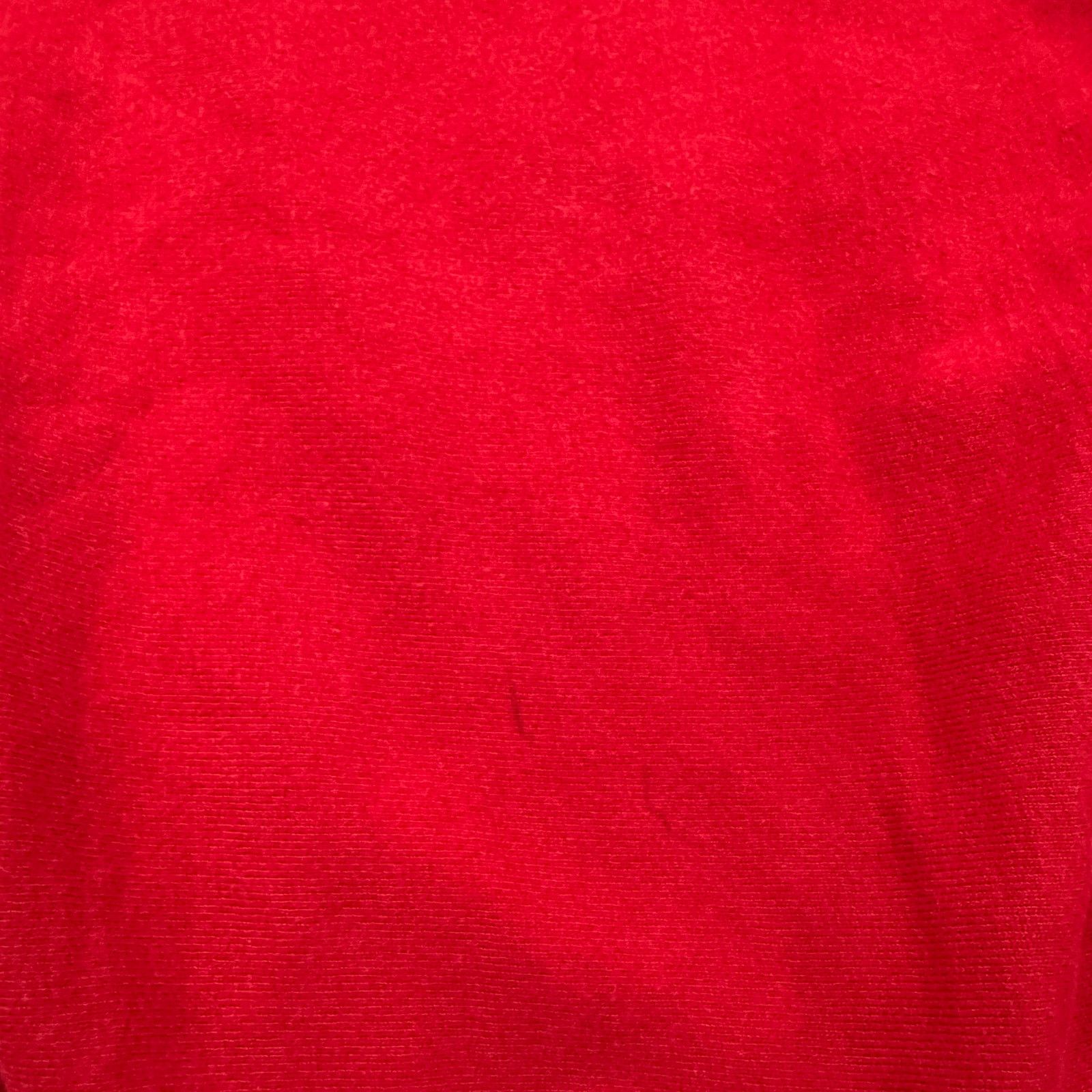Champion Vintage Champion Reverse Weave Sweatshirt Large Wisconsin Size US L / EU 52-54 / 3 - 4 Thumbnail