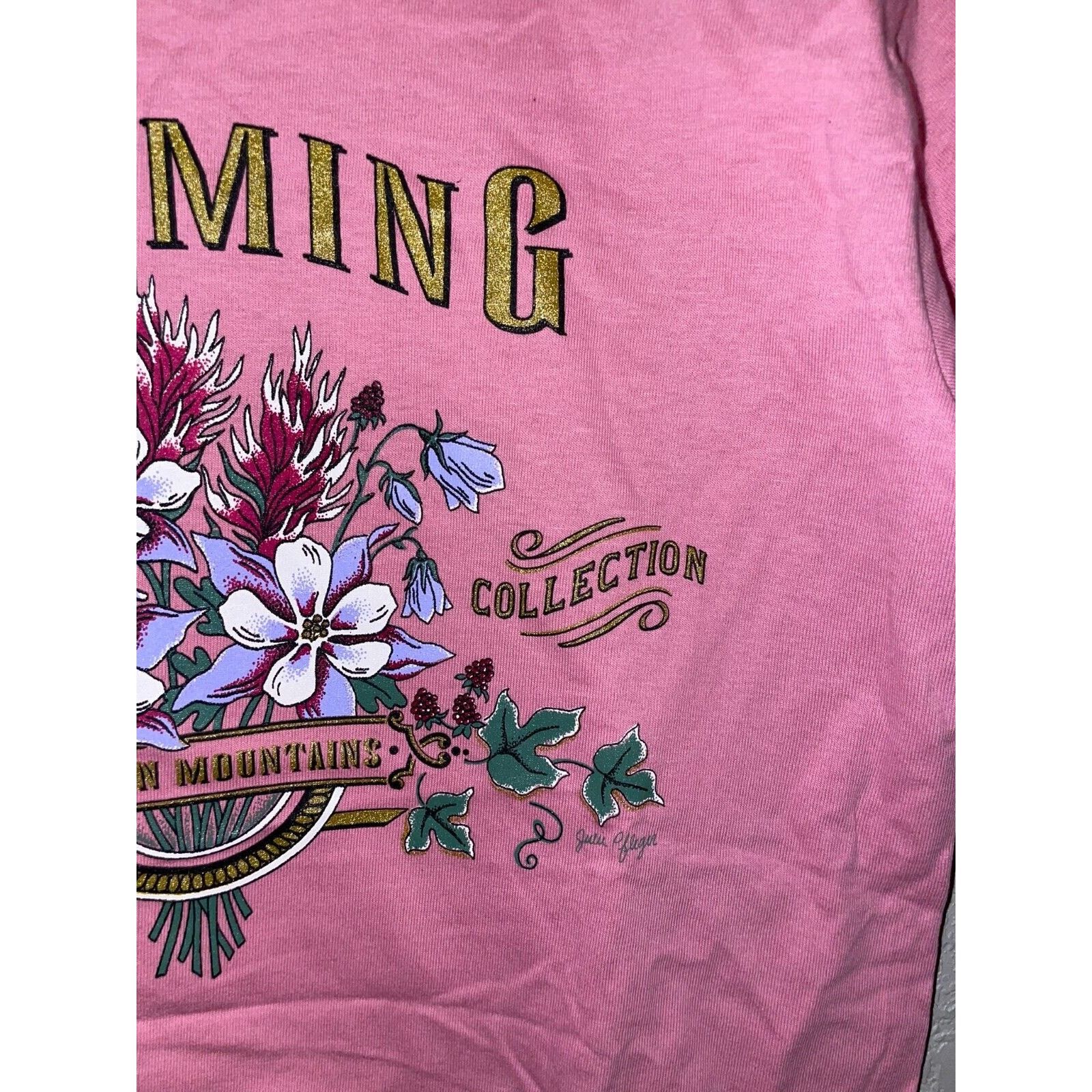 Jerzees Vintage Wyoming Wildflower Shirt Big Horn Pink Tee VTG 90s S Size US S / EU 44-46 / 1 - 4 Thumbnail