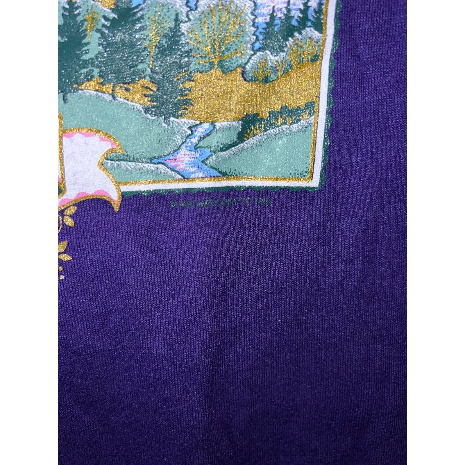 Jerzees Vintage Tennessee Shirt Gatlinburg Purple Graphic Tee 90s S Size US S / EU 44-46 / 1 - 6 Thumbnail