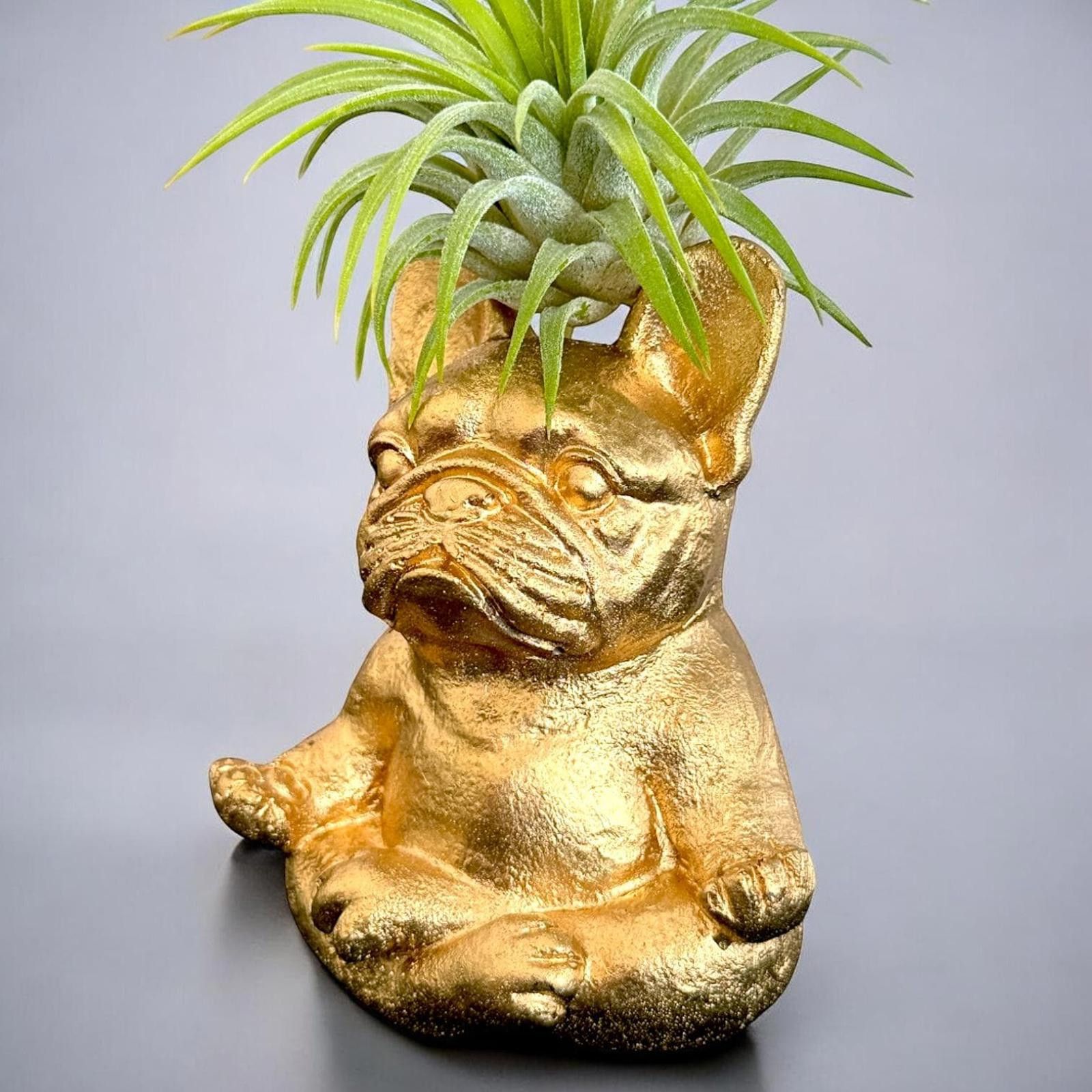 Other Zen Bulldog Air Planter, Meditating Dog Decor, Gift Figurine Size ONE SIZE - 3 Thumbnail