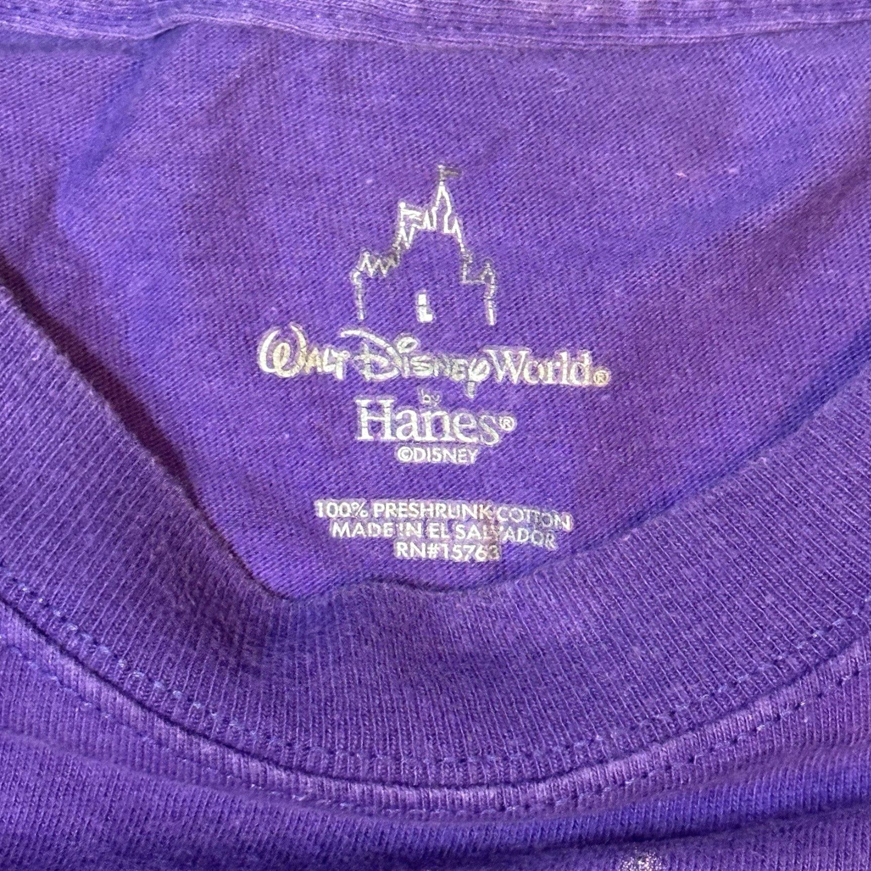 Hanes Hanes Walt Disney World Mickey Mouse Wizard Cotton Tee Four Parks One World Lg Shirt Men Multicolor Disney Parks Tee Wizard Mickey 90s? Size US L / EU 52-54 / 3 - 4 Thumbnail