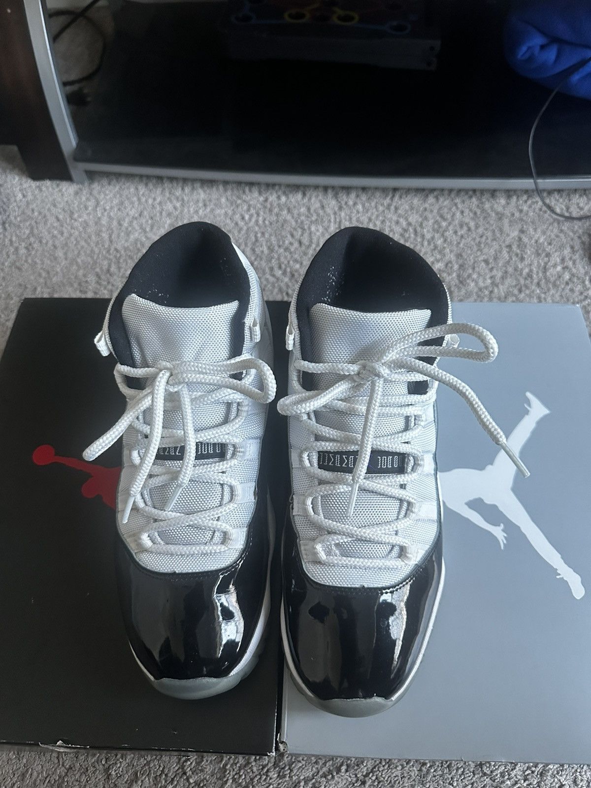 Concord 11s
