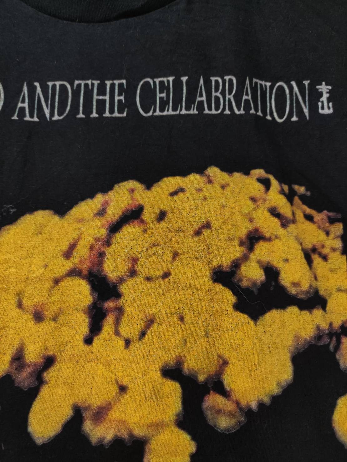 Band Tees Frnkiero Andthe Cellabration " Flower " T-Shirt Size US M / EU 48-50 / 2 - 4 Thumbnail