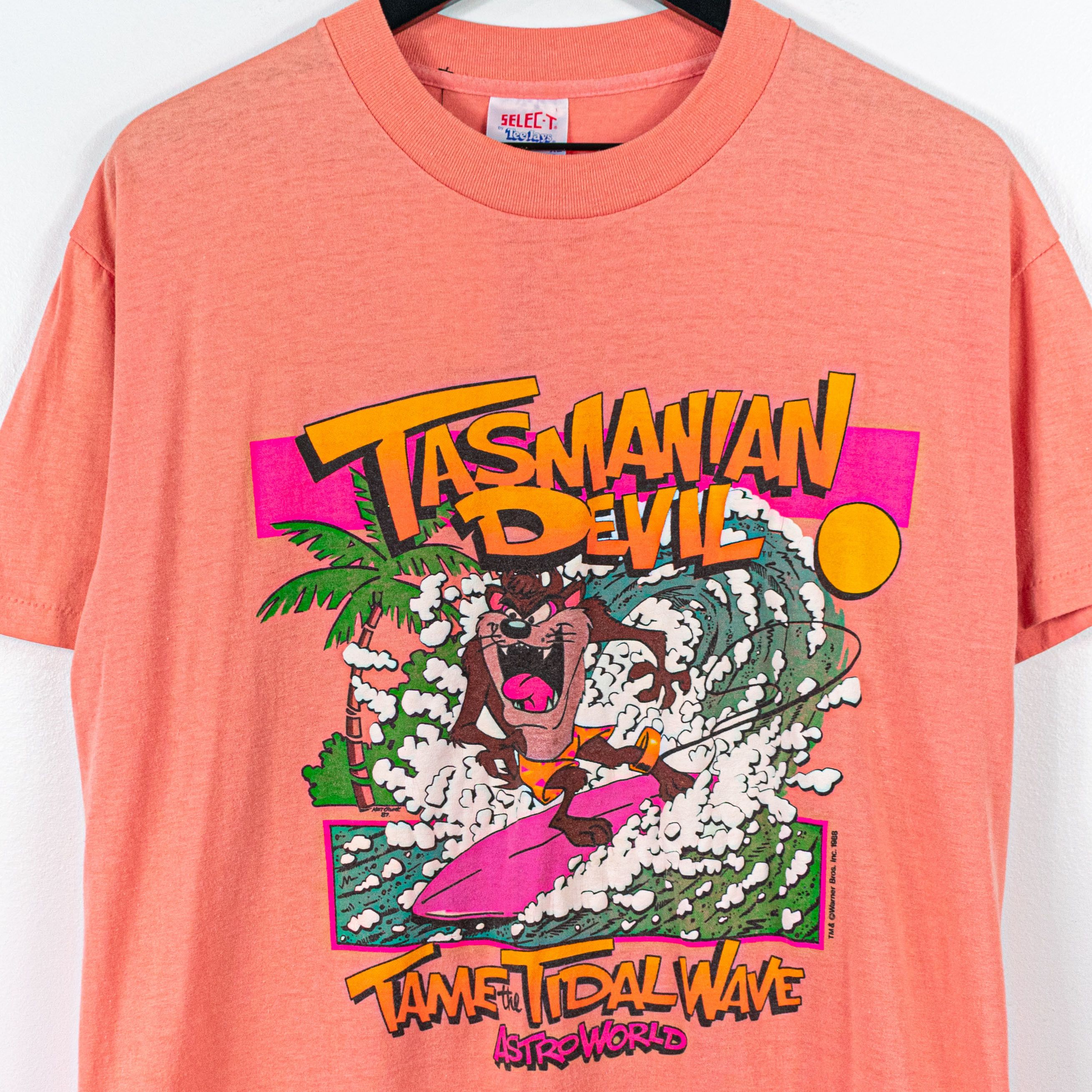 Vintage Warner Bros Astroworld Tasmanian Devil Taz Wave T-Shirt | Grailed