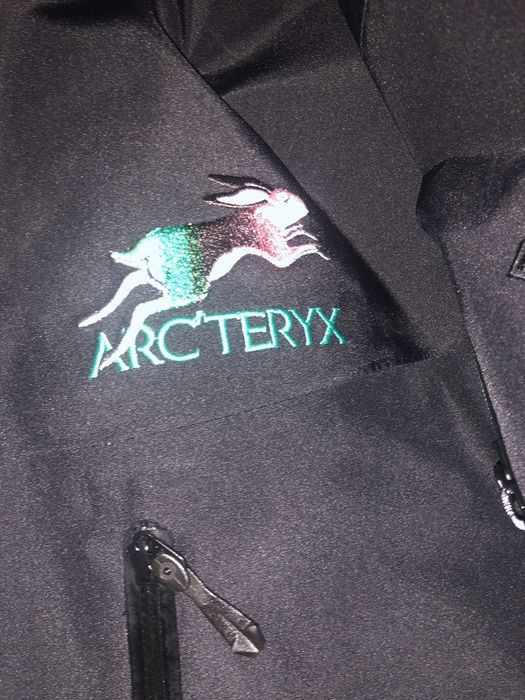 Arc'Teryx Arc'teryx Lunar New Year LNY Alpha SV Small | Grailed