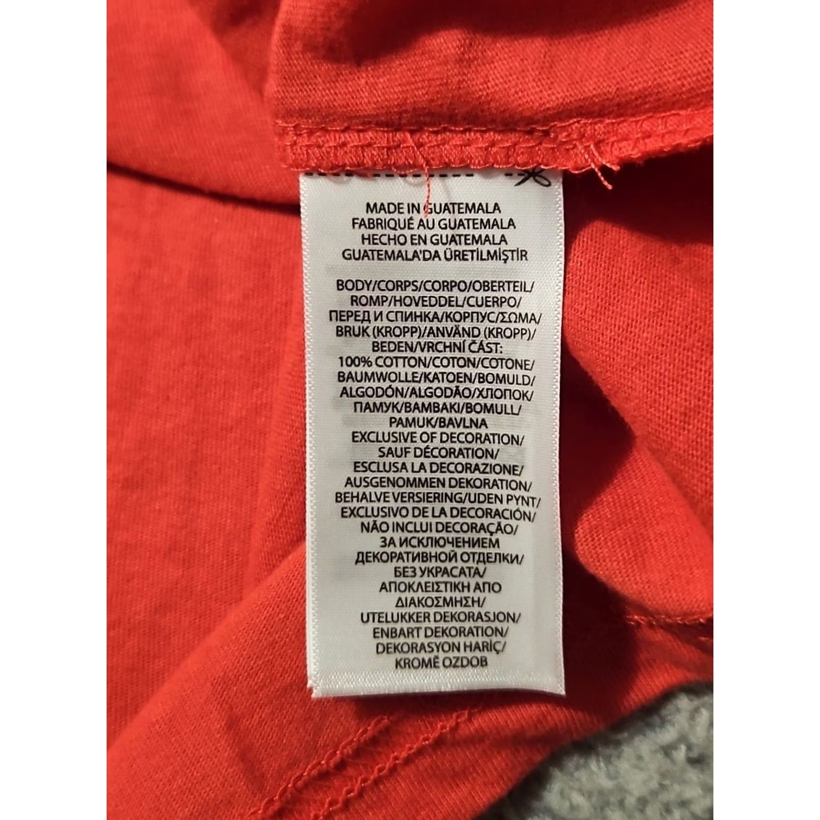 Polo Ralph Lauren Polo Ralph Lauren Hoodie Mens L Red Pony Rainbow Logo Graphic Lightweight Men Size NWT Size US L / EU 52-54 / 3 - 6 Thumbnail