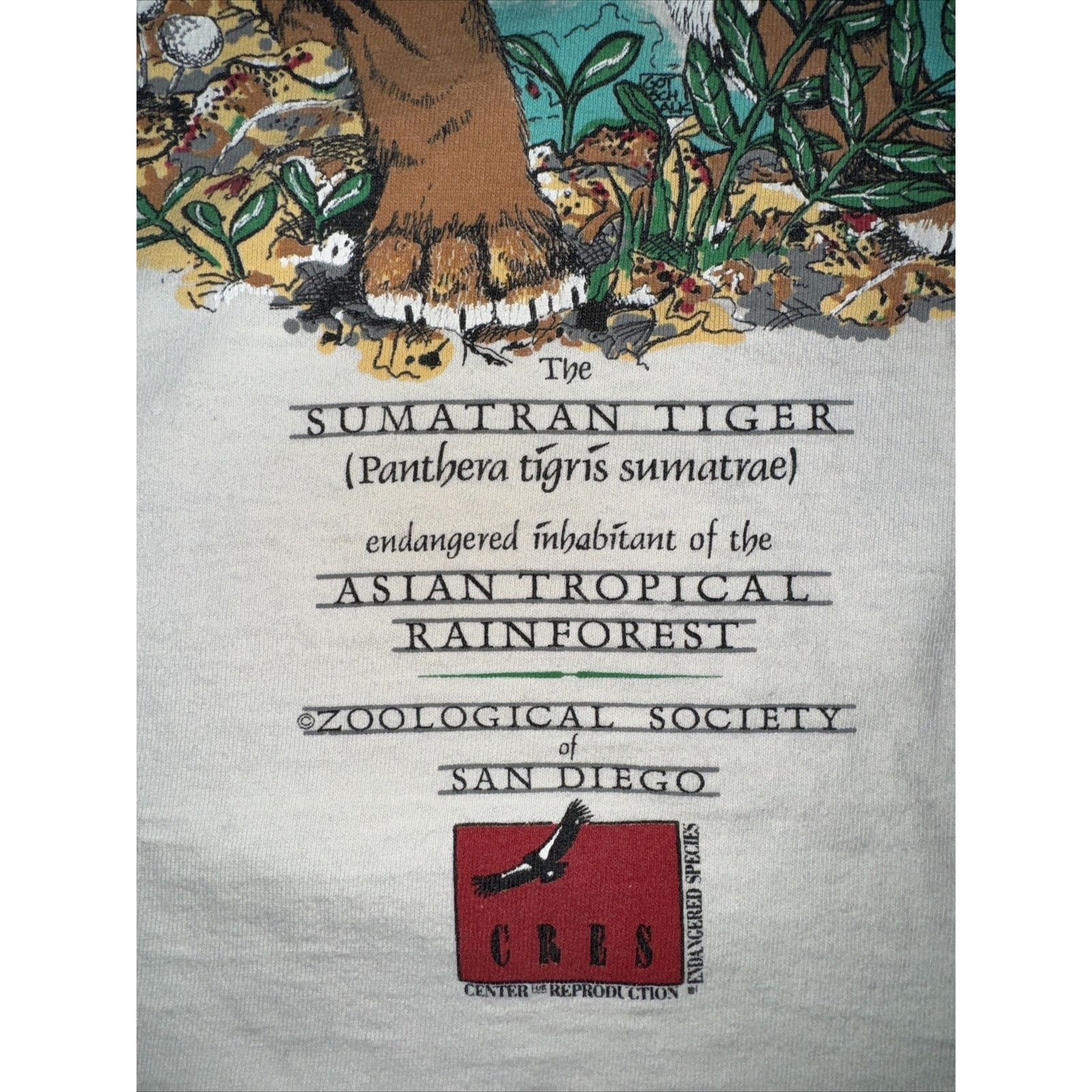 Band Tees × The Mountain Vintage Oneta San Diego Zoo T-Shirt White L 22x26 Tiger Size US L / EU 52-54 / 3 - 3 Thumbnail