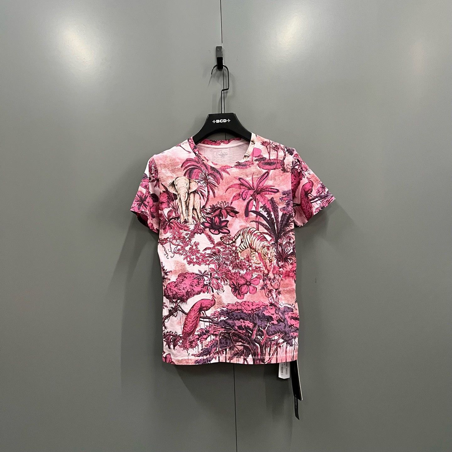 Dior × Hedi Slimane Archive S/S 2006 T-Shirt (We Stole The Burning