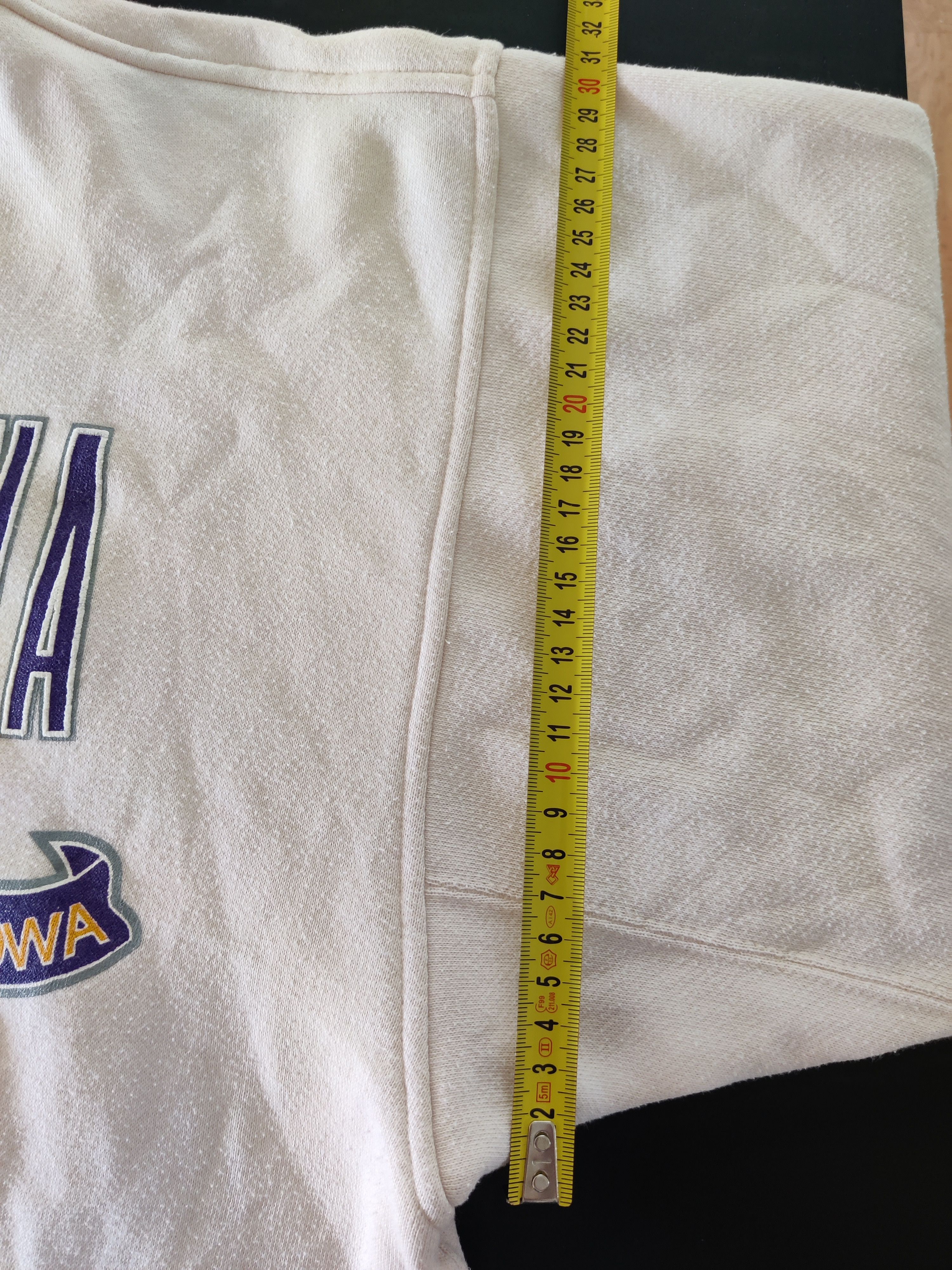Other Danaggers Northern Iowa Panthers NCAA Vintage 90s Crewneck M Size US M / EU 48-50 / 2 - 11 Thumbnail