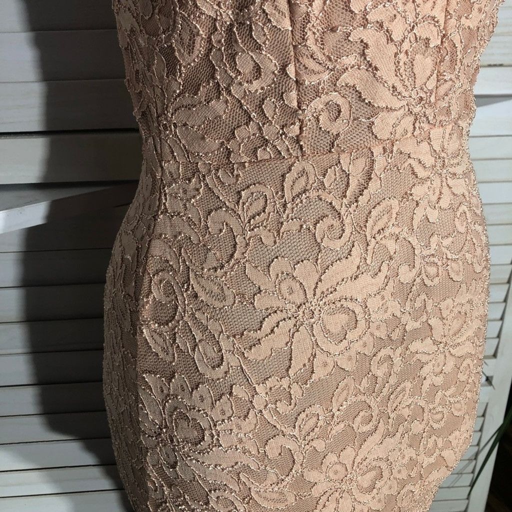 Windsor Smith NWOT Windsor Chantilly Bodycon Dress Lace Mermaid Hem Pink L Size L / US 10 / IT 46 - 7 Thumbnail