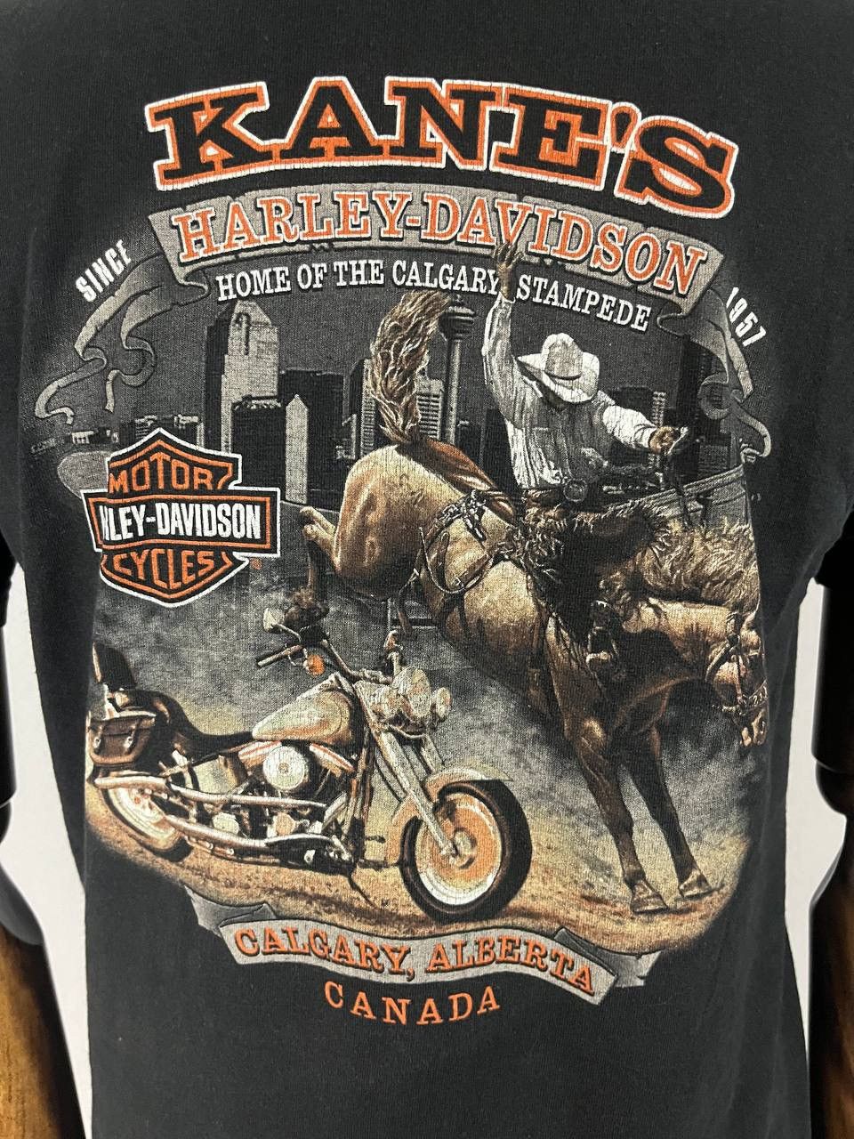 Harley Davidson Harley Davidson Vintage Tee T Shirt 2005 Black Size US M / EU 48-50 / 2 - 1 Thumbnail