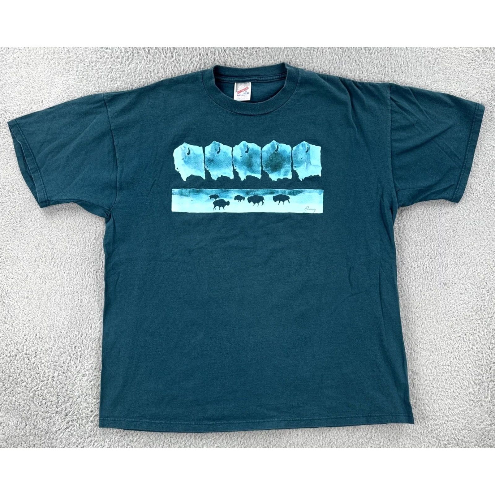 Jerzees VINTAGE Jerzees T-Shirt Mens XL Green Crew Neck Short Sleeve Bison Graphic Print USA 90s Ouray Co Size US XL / EU 56 / 4 - 2 Thumbnail
