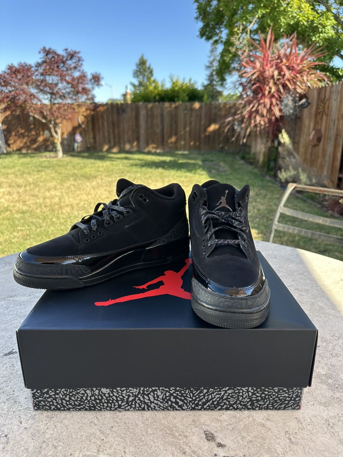 Jordan Brand × Nike Jordan 3 “Blackcat” Size US 11 / EU 44 - 3 Thumbnail