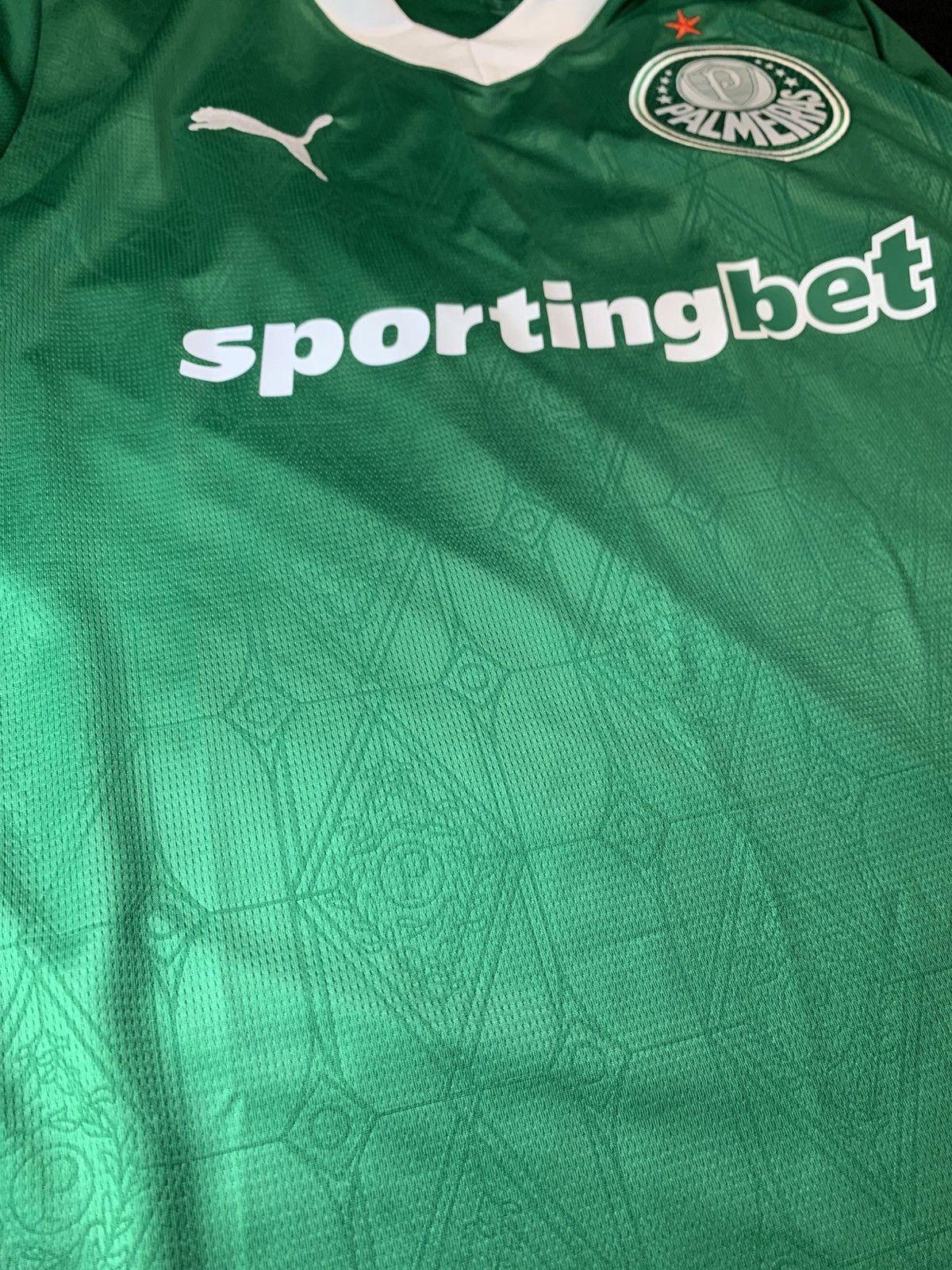 Puma T-shirt — PUMA Palmeiras 2025/26 Home Jersey Size US L / EU 52-54 / 3 - 3 Thumbnail